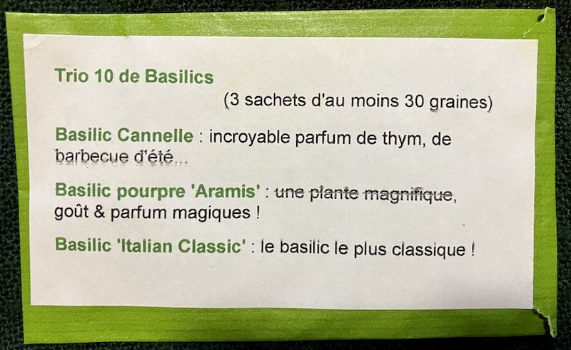 3 basilics #10 : Cannelle, pourpre Aramis, Italian Classic