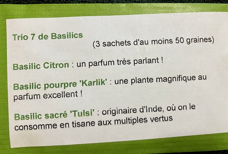 3 basilics #7 : Citron, sacré "Tulsi", pourpre Karlik