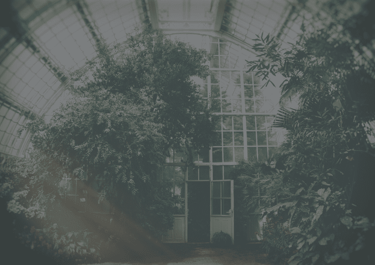 Green Salon The UK s First Sustainable Lifestyle Consultancy Green Salon The UK s First Sustainable Lifestyle Consultancy