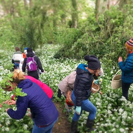 foraging group.jpeg