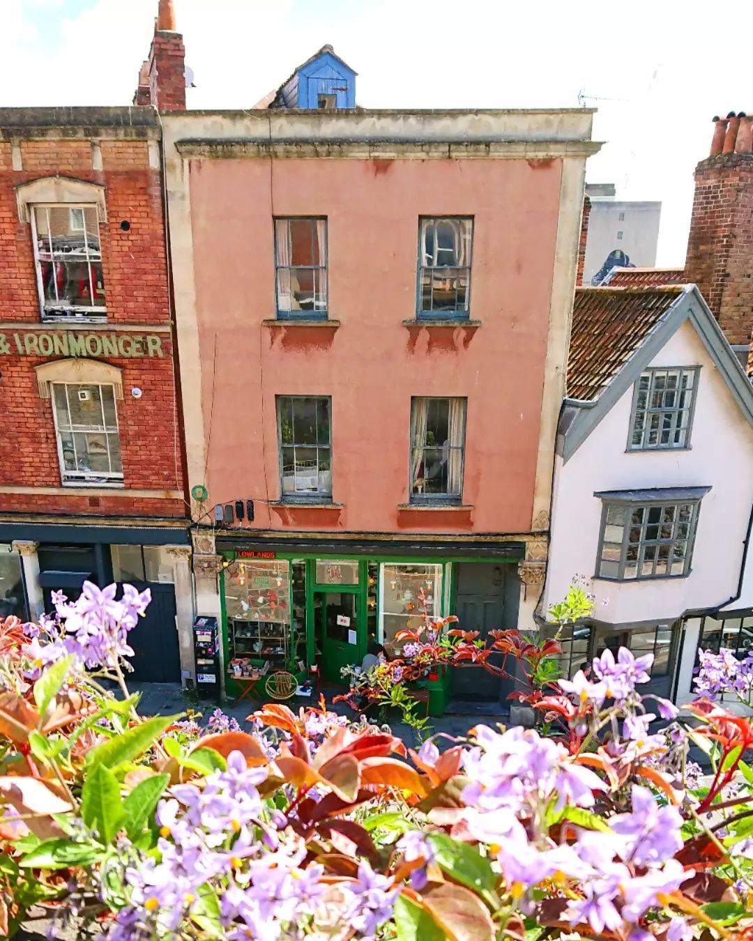 Peeking through the flowers on Perry Road spying on @lowlandsbristol on Colston Street - super sunny in the Christmas Steps Arts Quarter - lots of shops, caf&eacute;s, bars, restaurants, pubs are OPEN TODAY! And the @thechristmassteps pub has their f