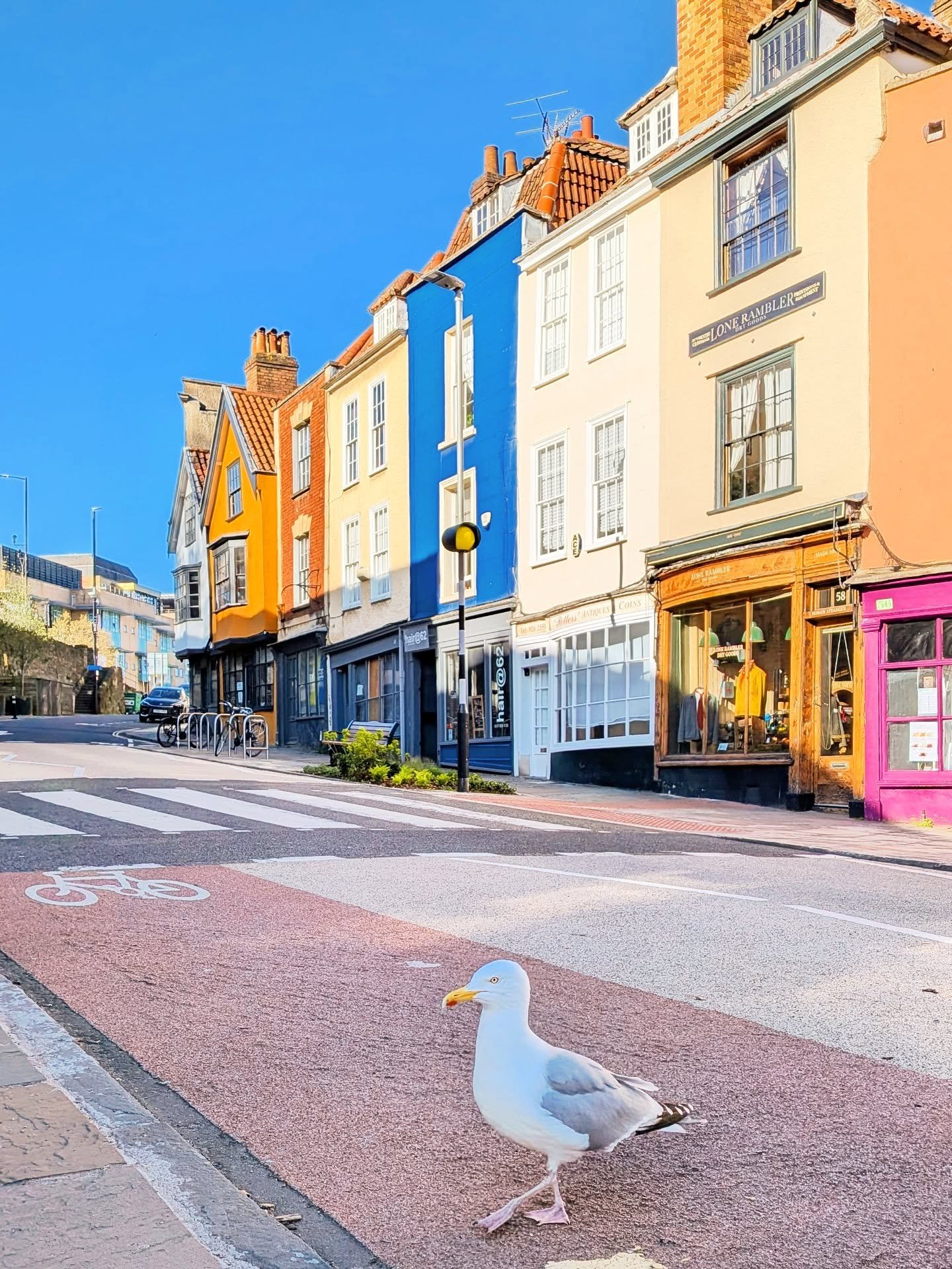 It really was a lovely day for a stroll around the neighborhood! 🪿☀️🪿 #christmasstepsartsquarter #christmassteps #visitbristol #bestofbristol #bristol247