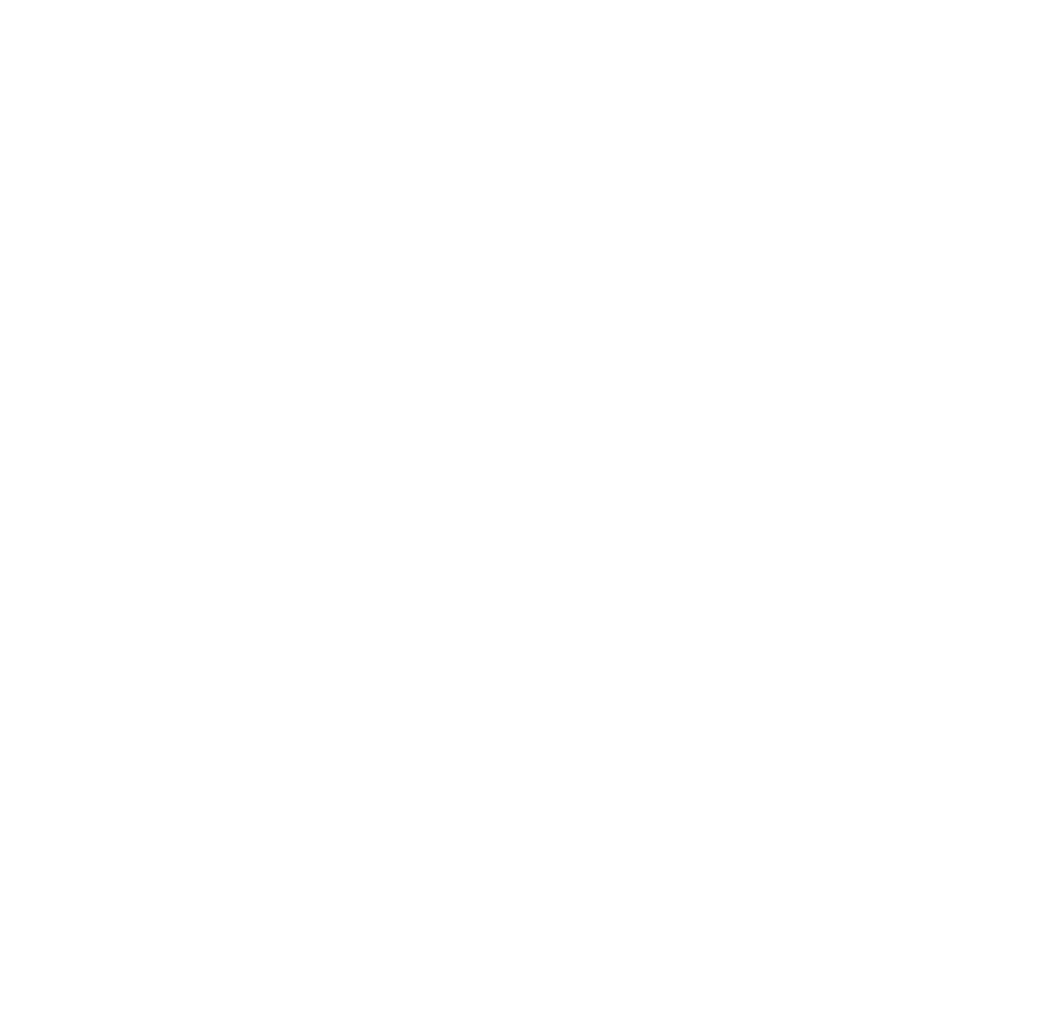 IDLO Strategic Plan