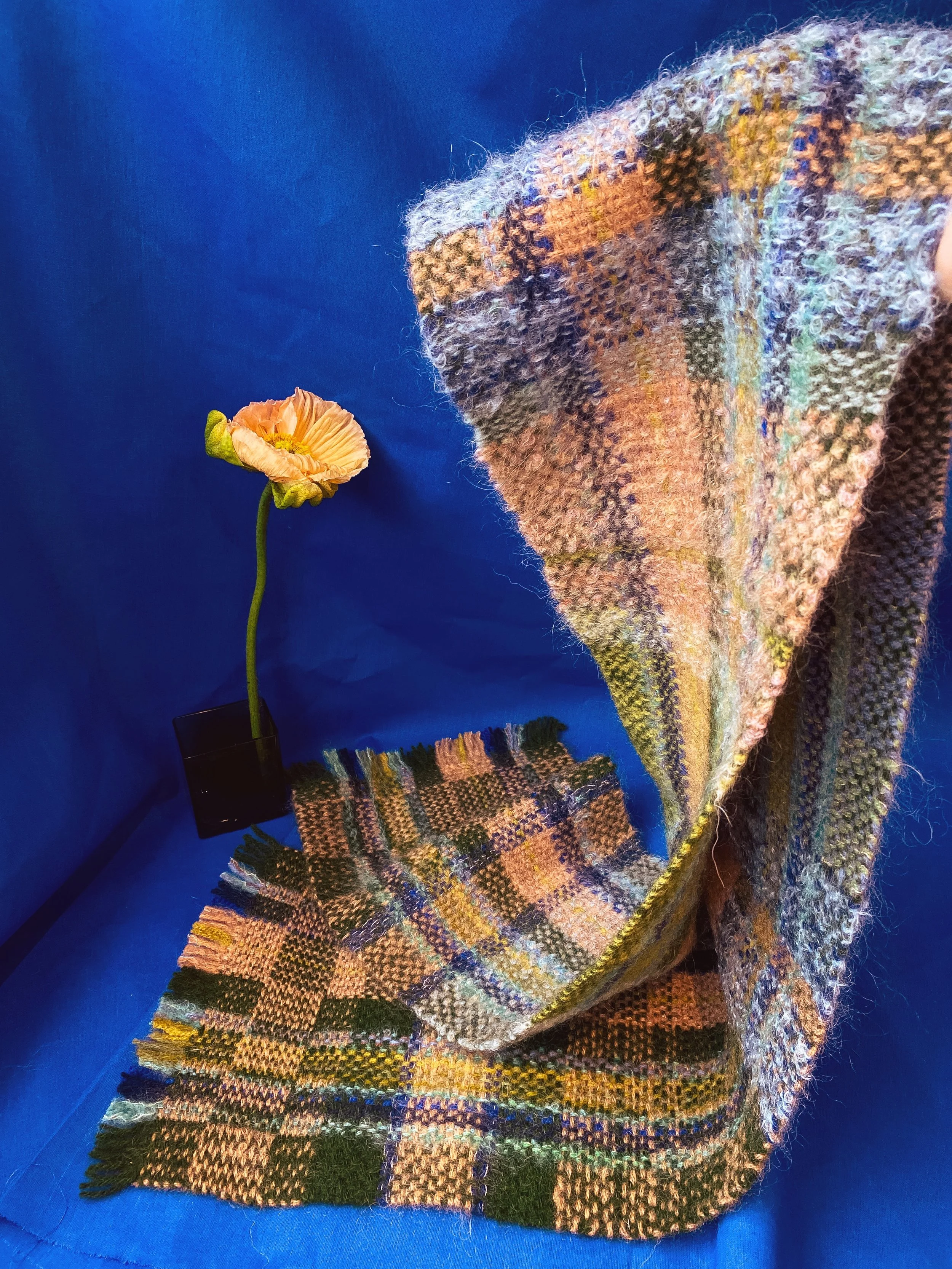 1 Periwinkle pine b.JPG