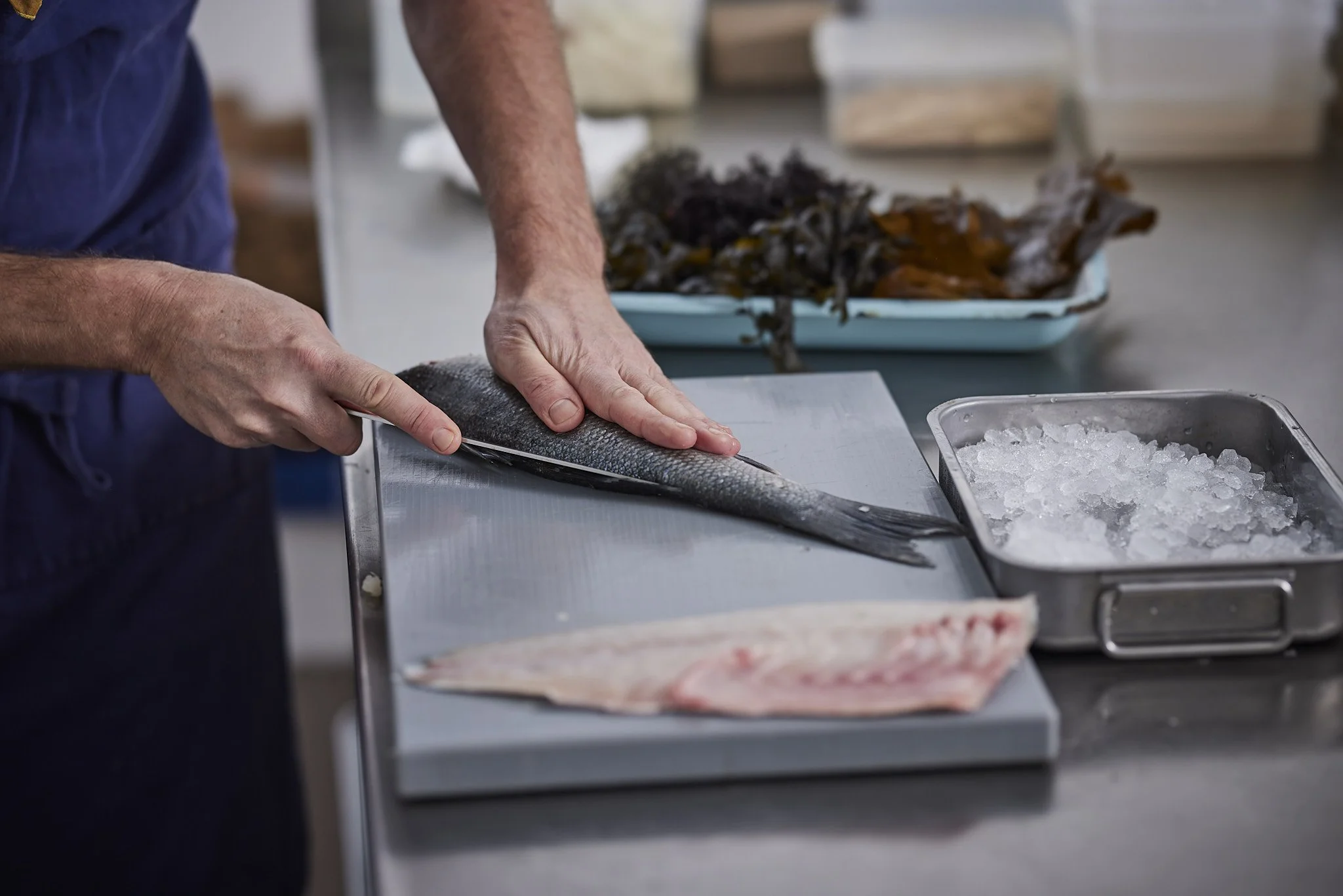 Untitled Session0881.jpg