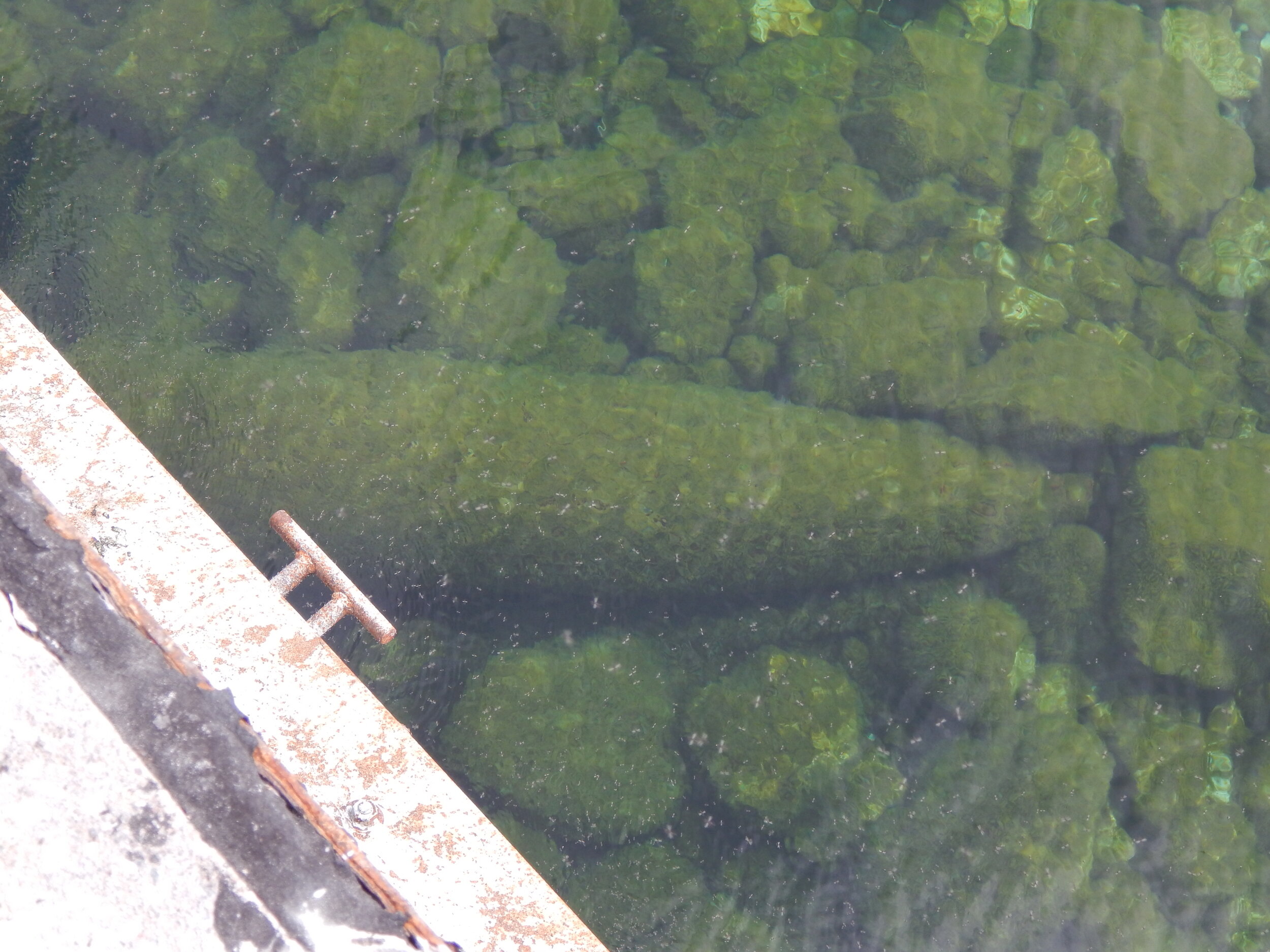 Remains of second crane at the bottom of the lake