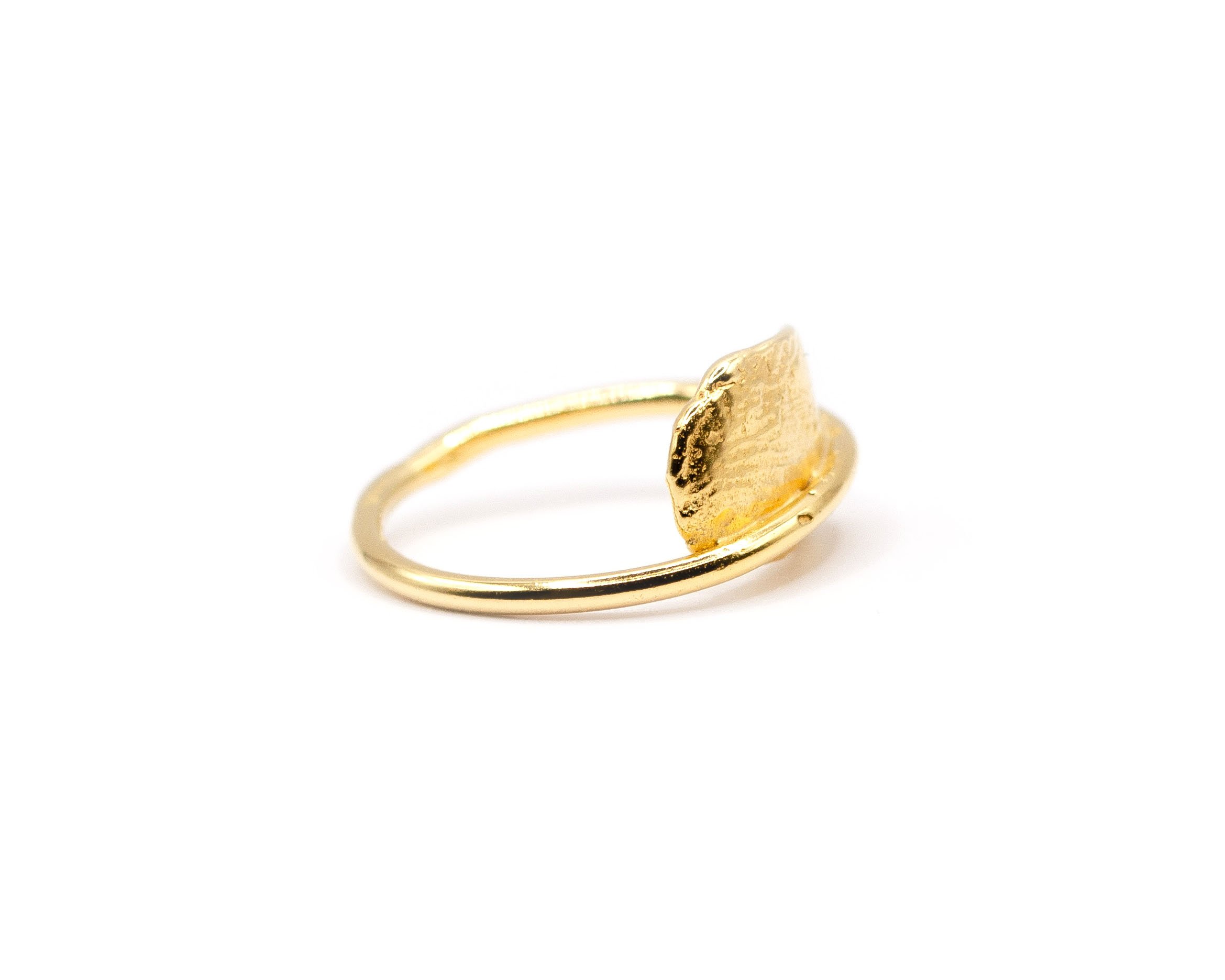 Captured Blemish ring silver goldplated4.jpg