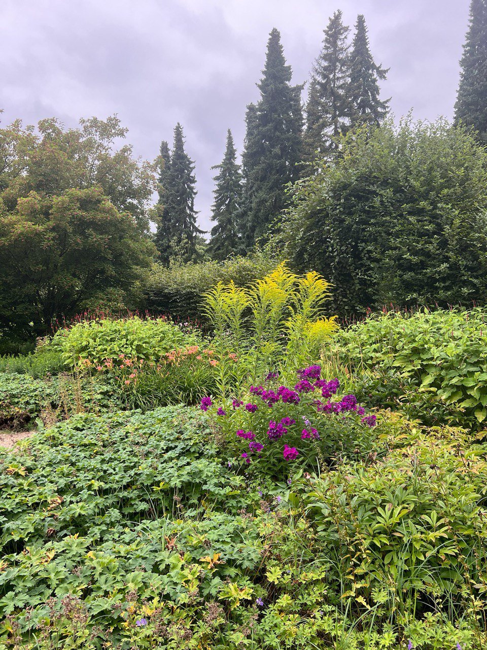 lac-wildflower-aquarell-workshop-hamburg (10).jpg