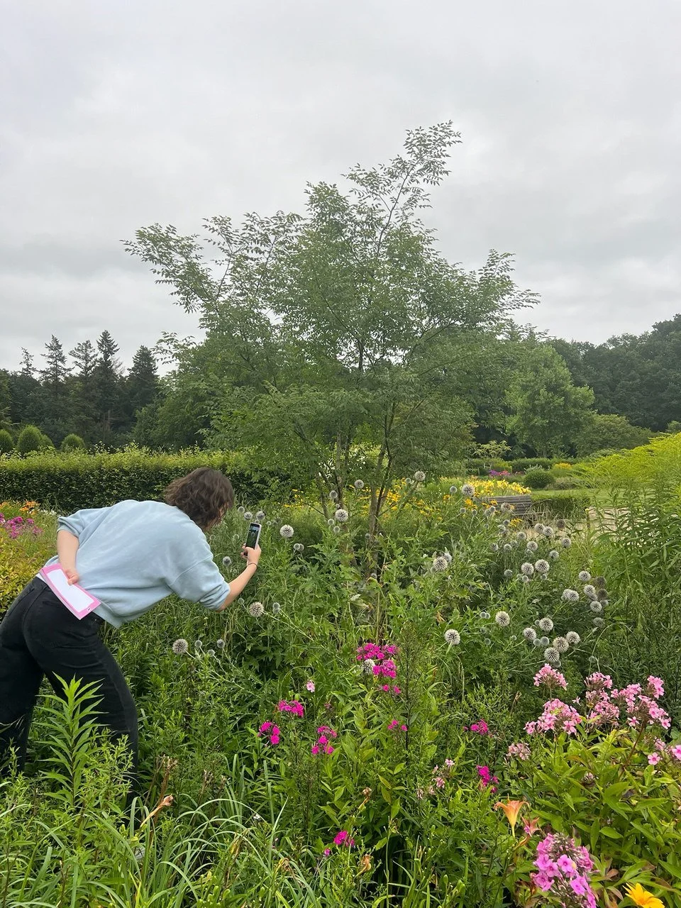 lac-wildflower-aquarell-workshop-hamburg (11).jpg