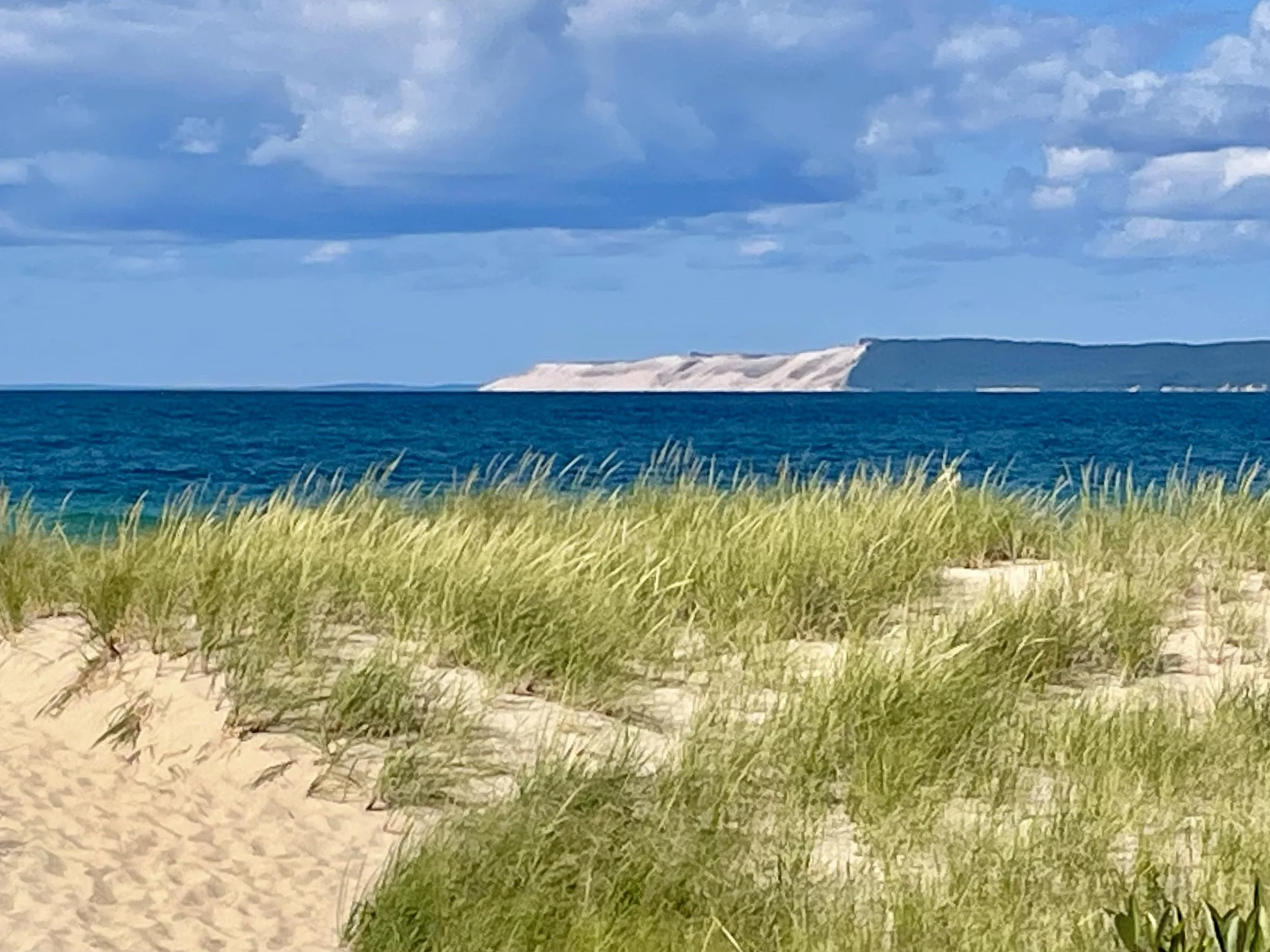 Sandy beach with green grass leading to the blue Lake Michigan under a partly cloudy sky, and a distant white cliff coastline in the background.