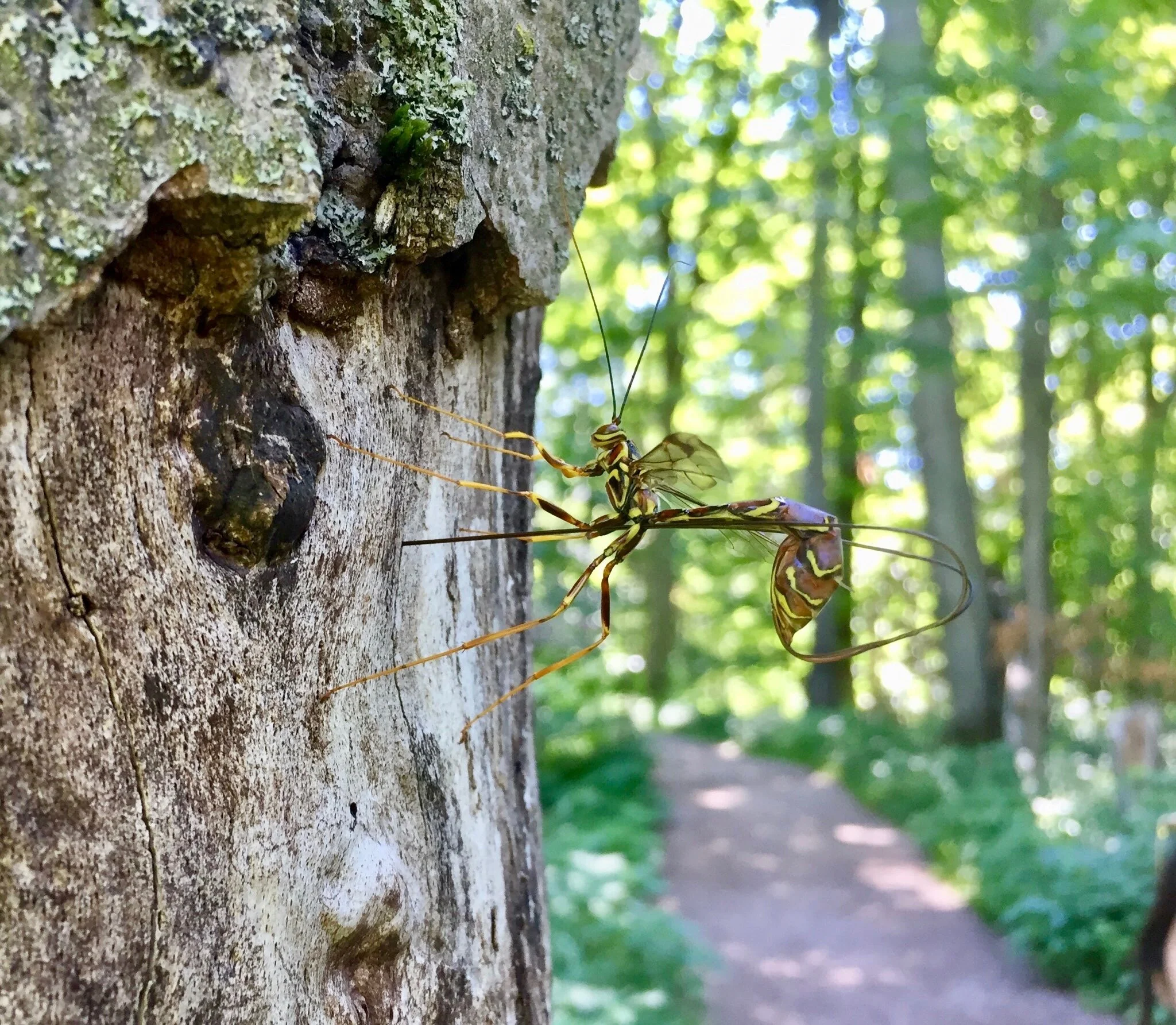 Nature Tours Sleeping Bear Dunes.jpeg