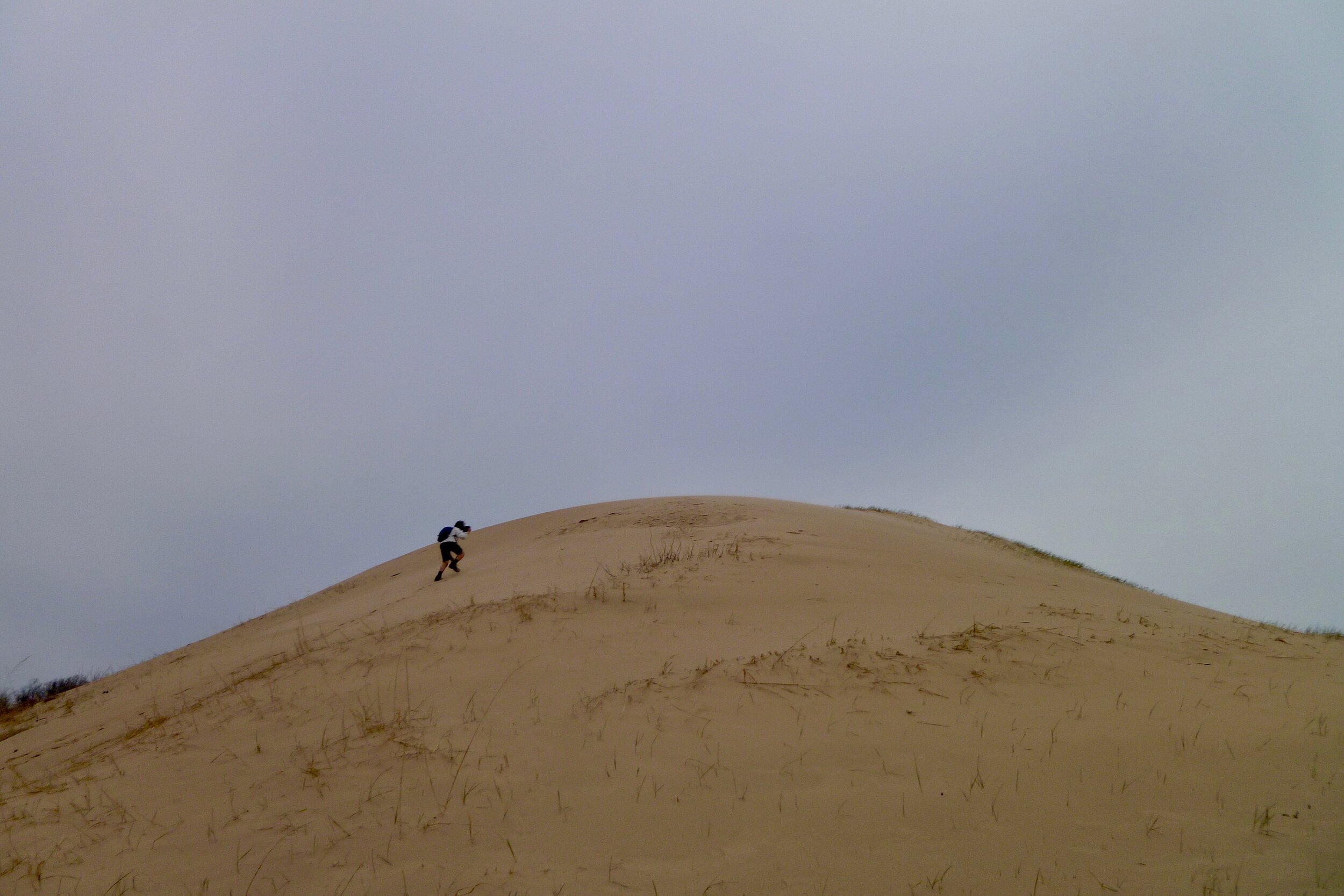 Dune Sleeping Bear Tour Co..jpeg