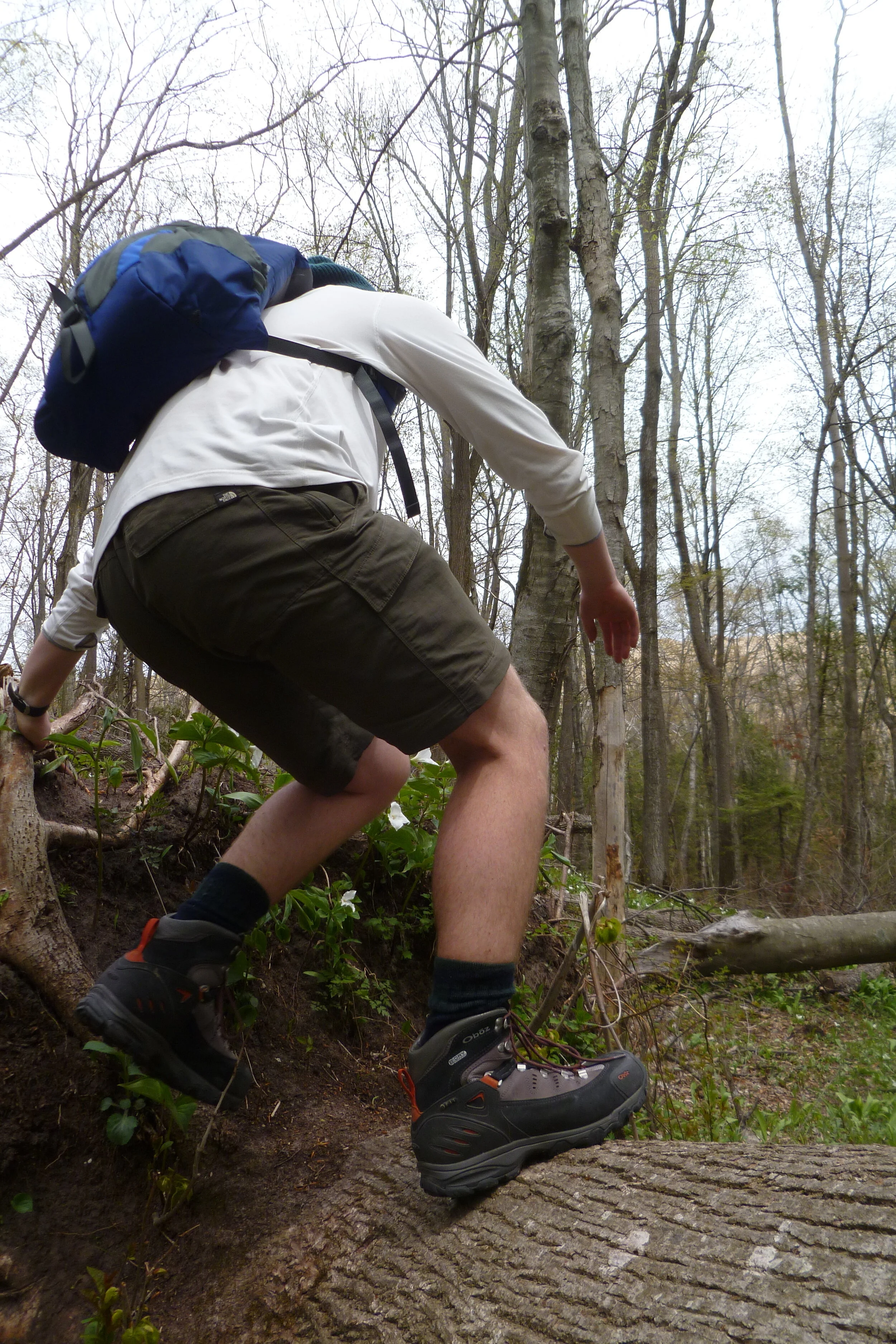 Forest Sleeping Bear Tour Co..JPG