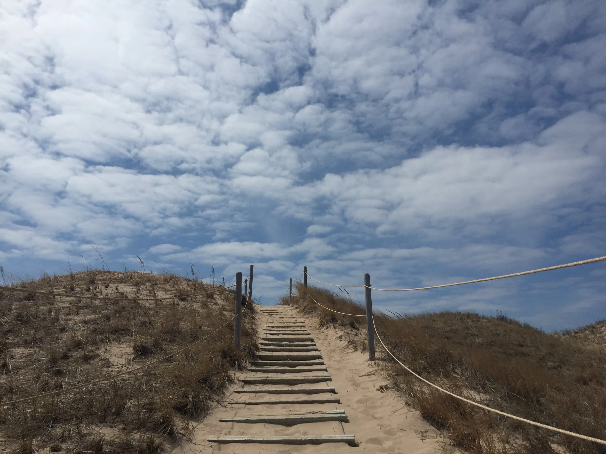 Shore Tour Sleeping Bear Tour Co..jpg