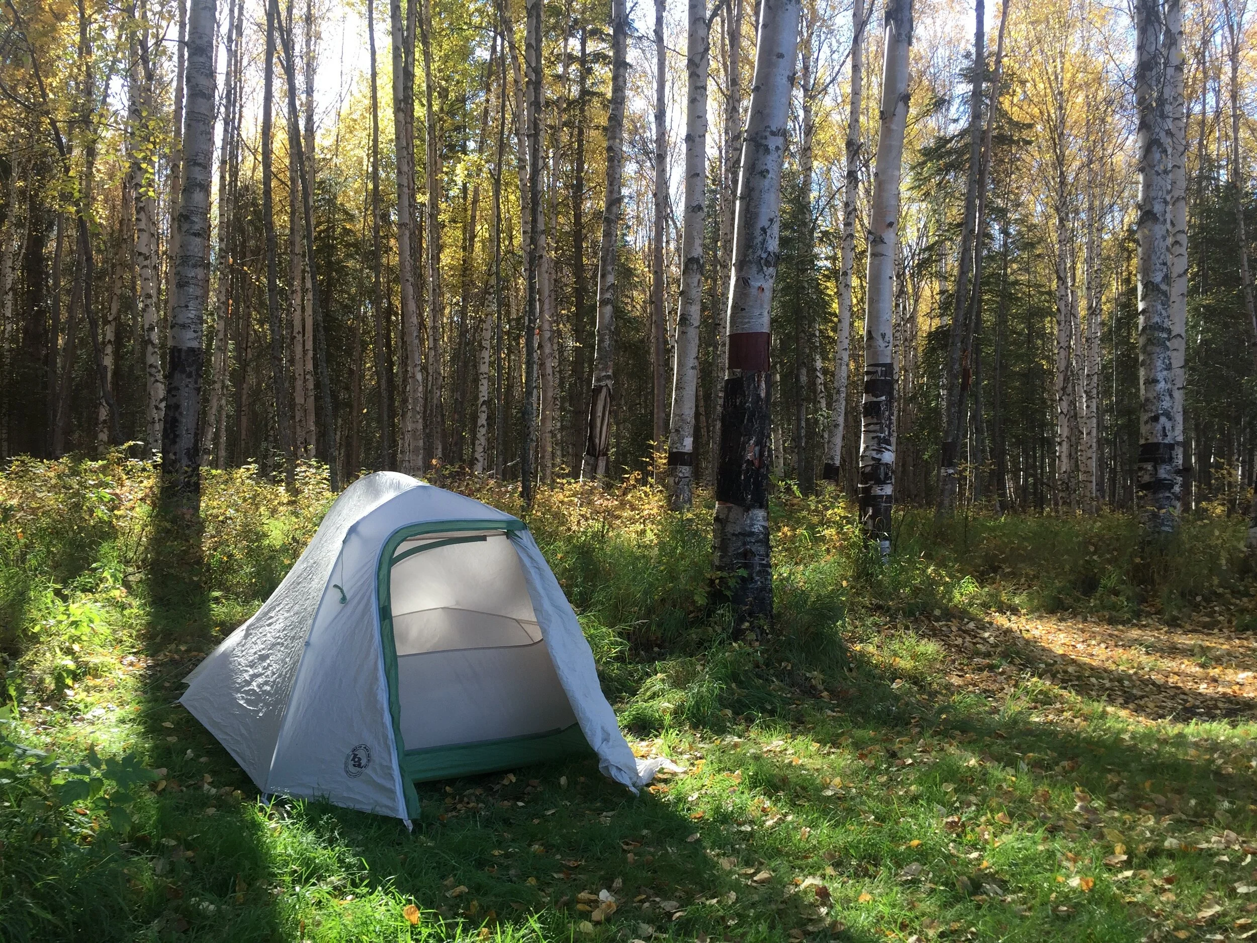 Where To Rest Your Head