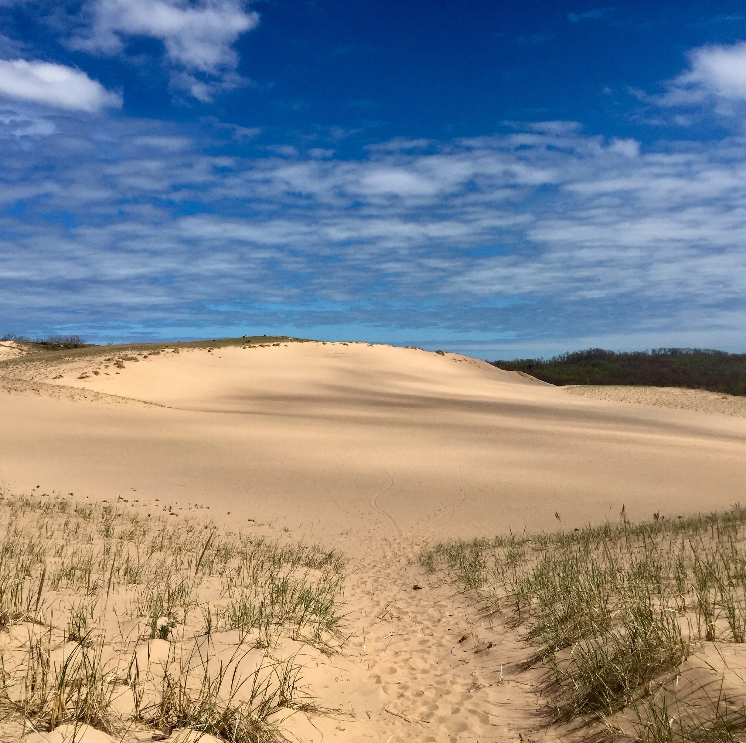 Dune Tour Sleeping Bear Highlight.jpg