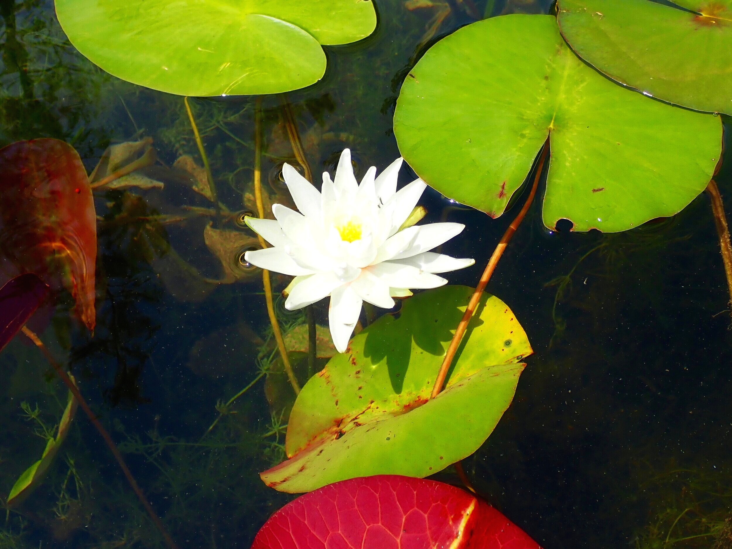 Nature walks and guided tours, Sleeping Bear Dunes.jpg