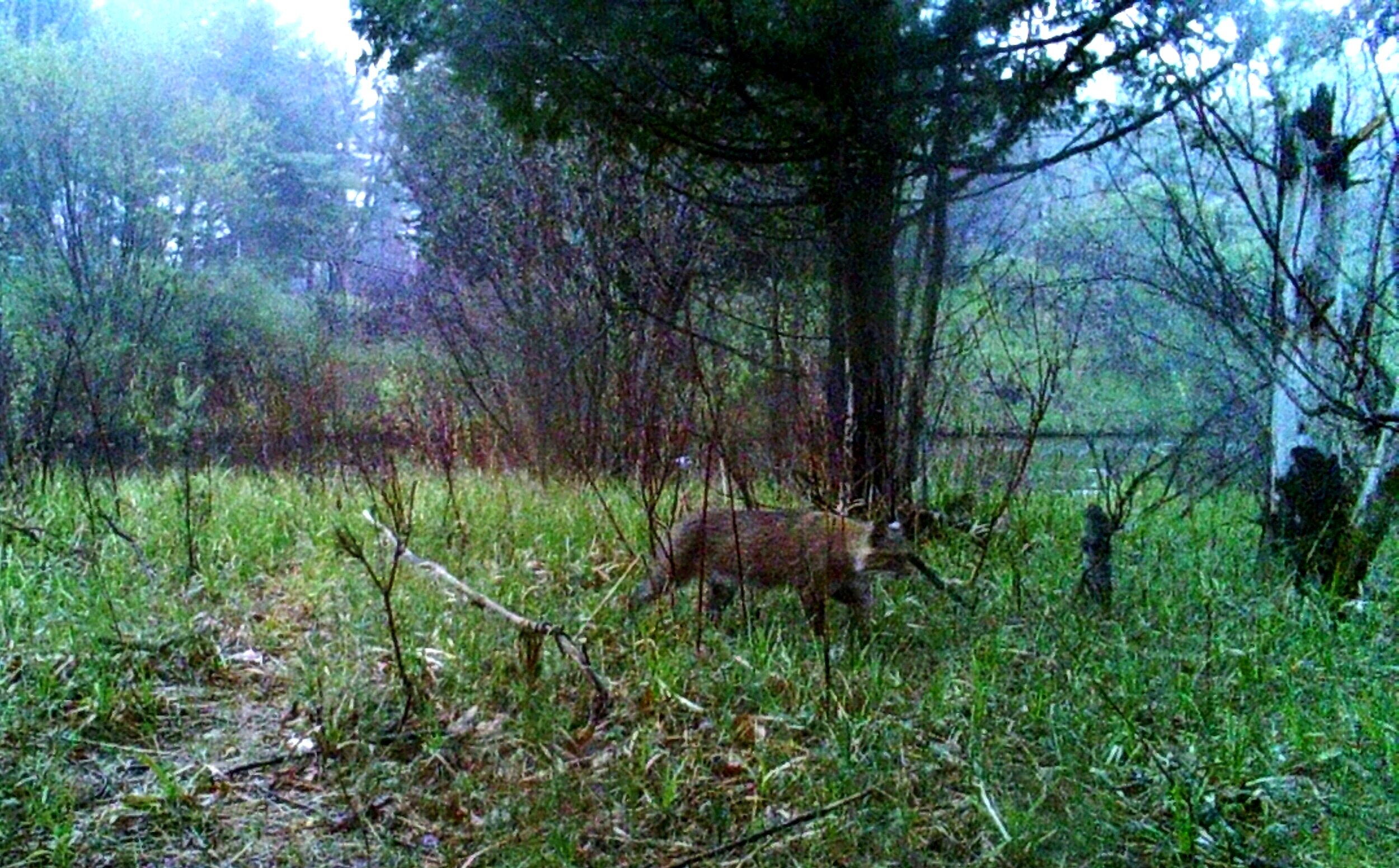 CONNECT TO THE SPIRIT