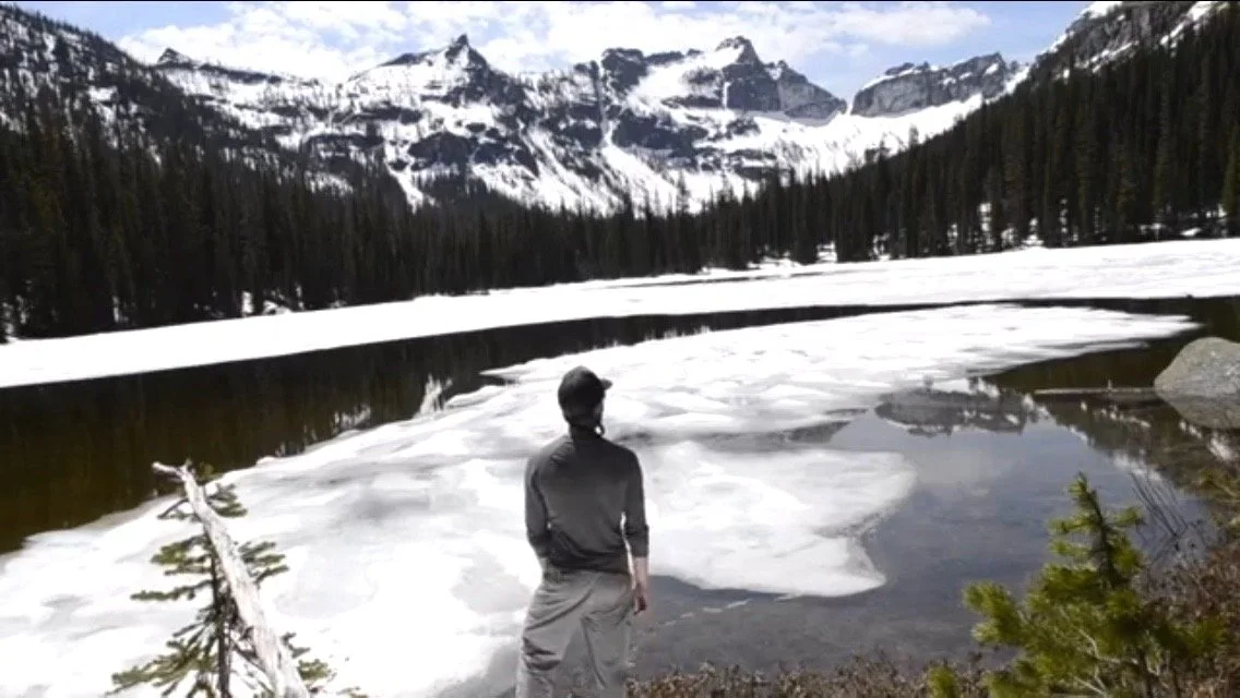 Integrate into your landscape.