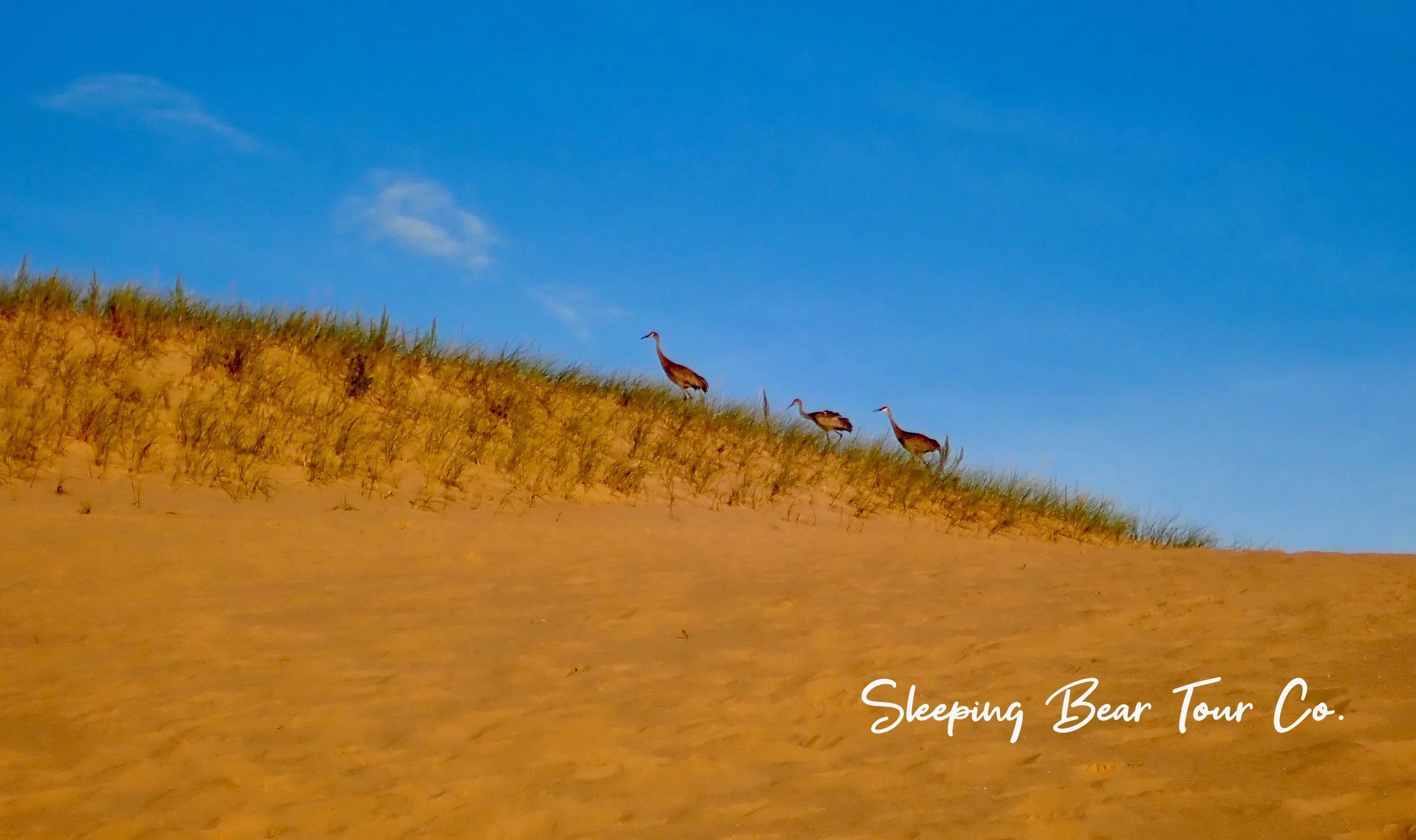 Marching Into Summer