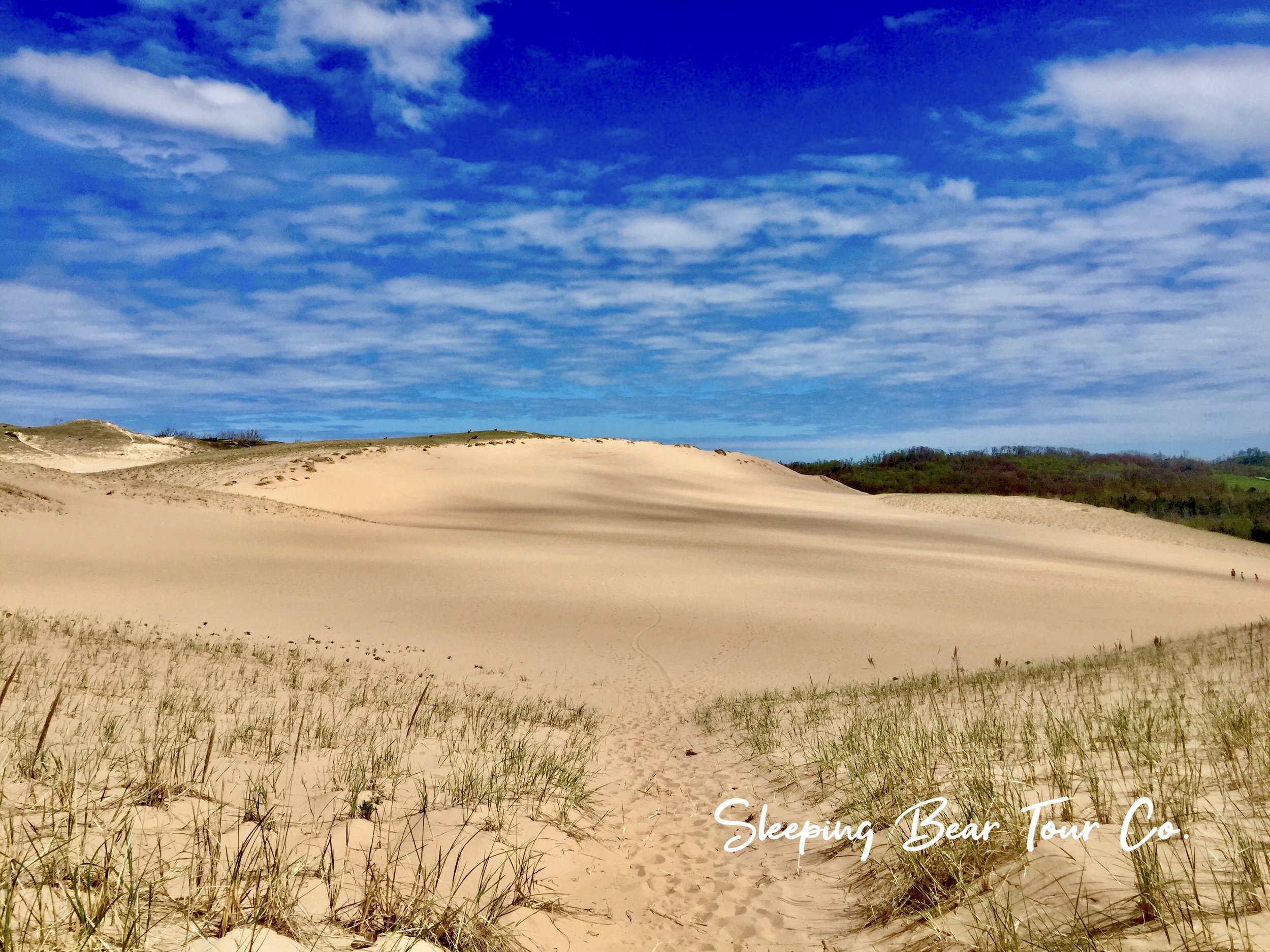 Explore Sleeping Bear Dunes: Best Guided Tours with Local Experts