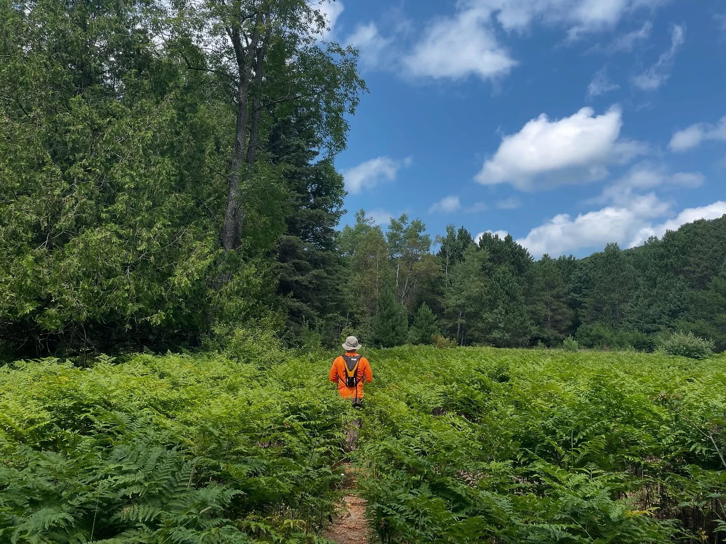 Stay positive&hellip; Crayola colors are on the horizon! 🌈 

Join us in #sleepingbear this summer as we celebrate five years of guiding in Sleeping Bear Dunes National Lakeshore. 

💕Michigans only Great Lakes Piping Plover tour.

🌲Walk in national