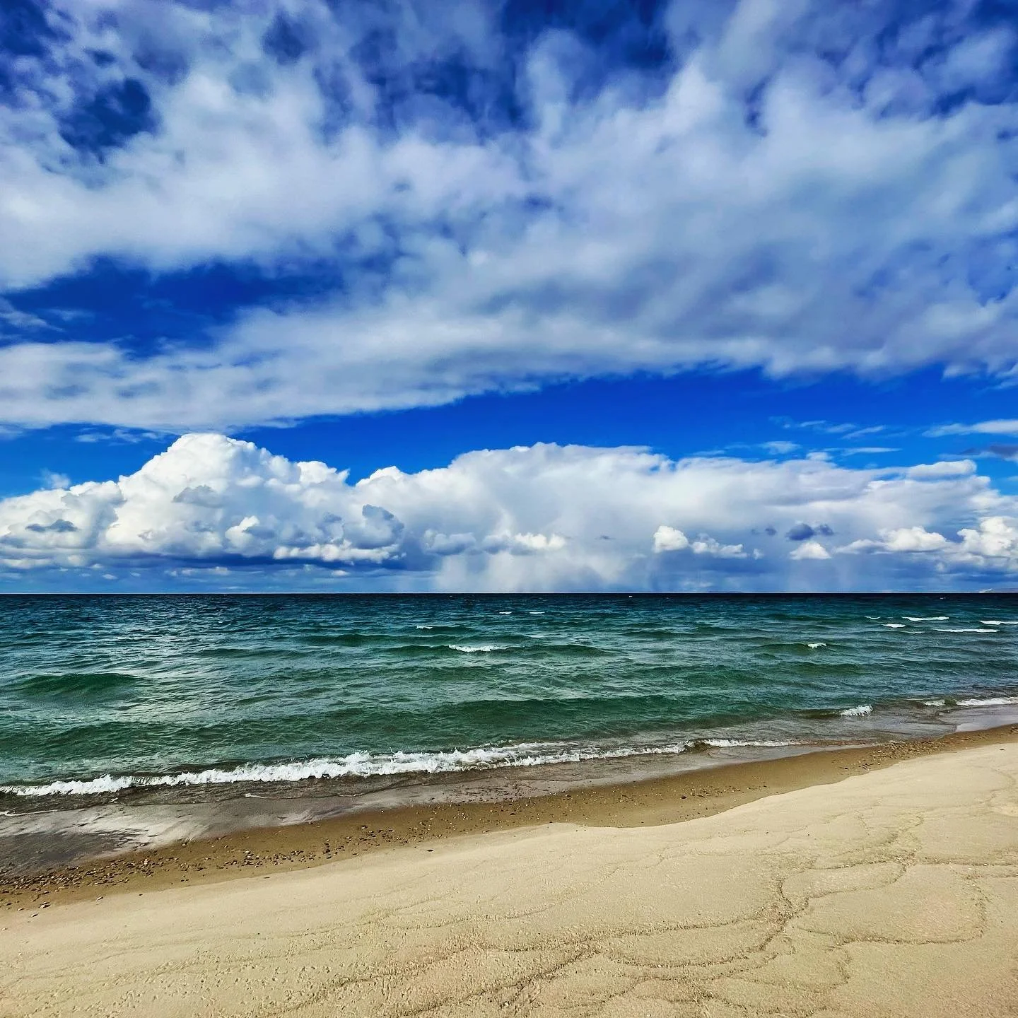 Your favorite summer Michigan destination is transforming into a spirited winter escape. 

New adventures include:

🍁 CHANGING SEASONS
☃️ HOLIDAY IN THE PARK
🥾 DUNE &amp; SHORE

1:00pm - 2:30pm
$40

Walk off the extra calories this holiday season a