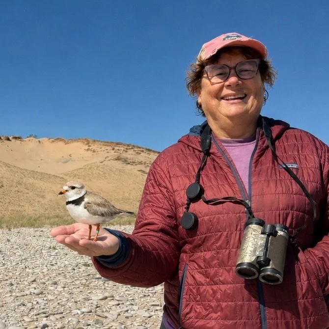 🚨 Wildlife Disclaimer 🚨
No Great Lakes Piping Plovers were held, touched, bothered, borrowed, pocketed, or inconvenienced in the production of this photo. 😄

One of our guests had a little fun with Photoshop after joining our Great Lakes Piping Pl