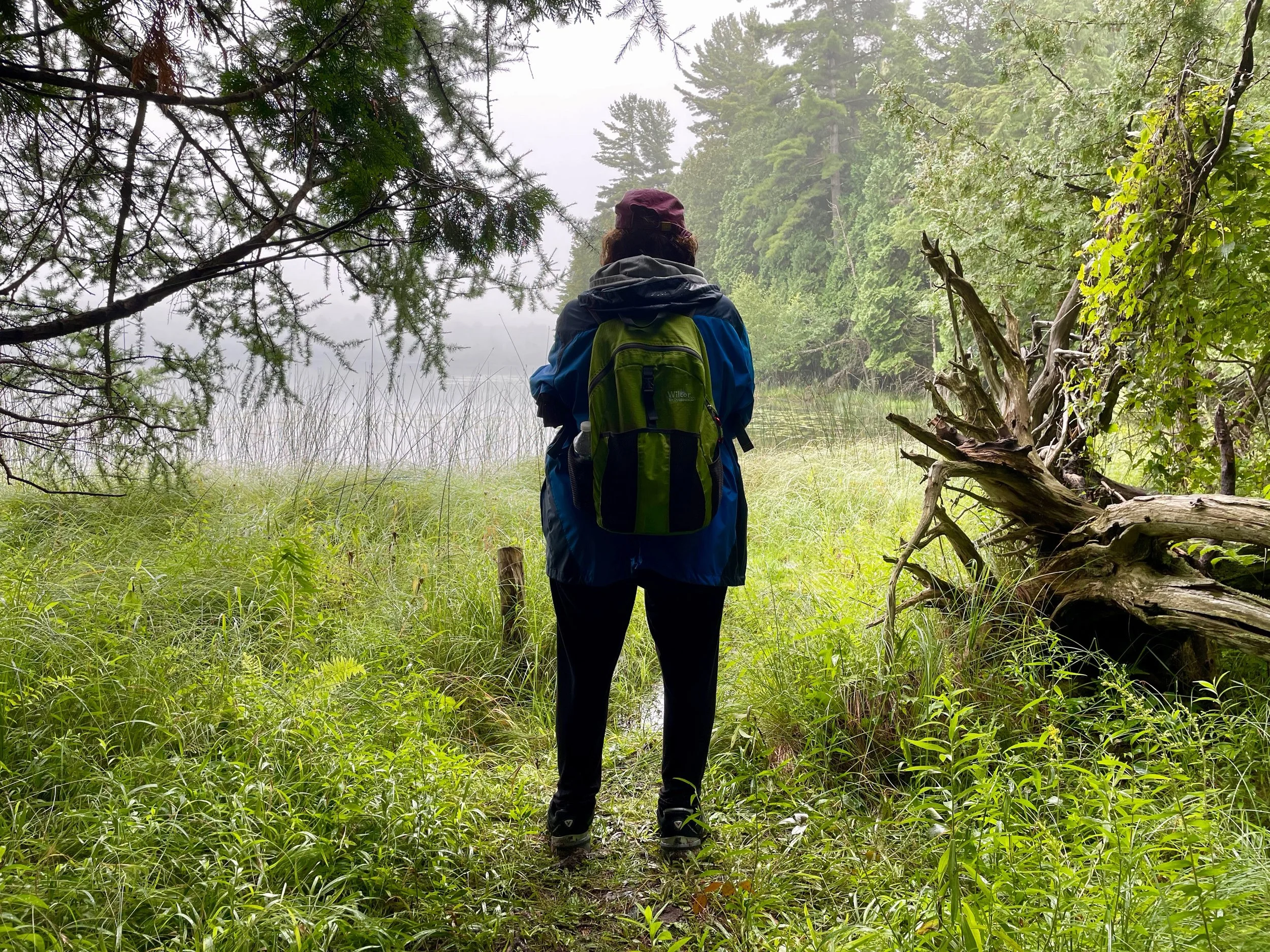 Person with a backpack standing in a grassy forest clearing near a misty body of water, surrounded by trees and fallen branches.