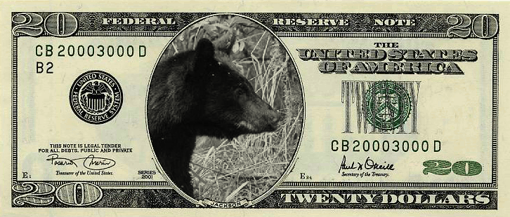 A twenty-dollar bill with a black bear silhouette in the center and a black-and-white bear image inside the oval frame.