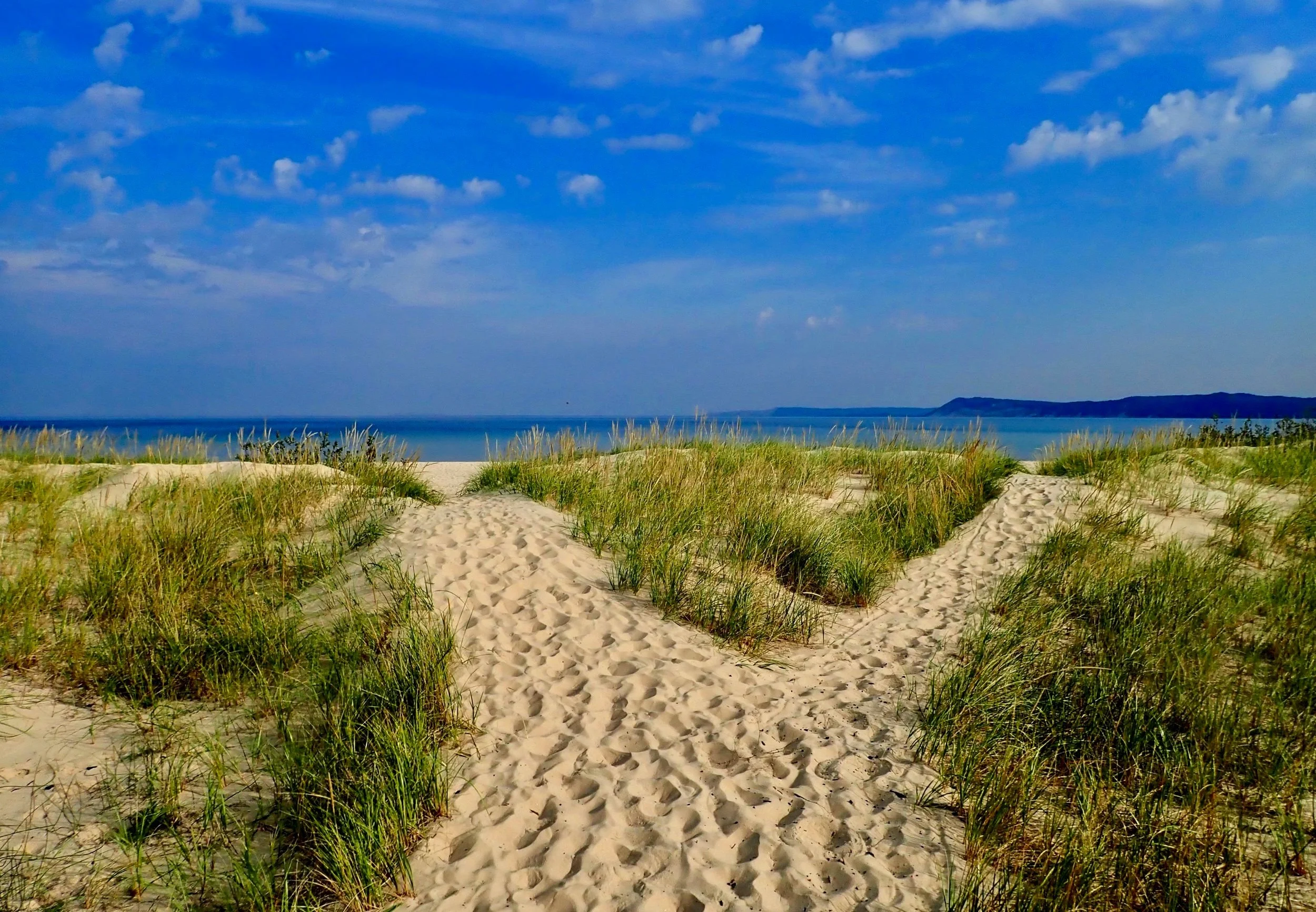 Sand dunes with green grass leading to the beach, with blue Lake Michigan and sky in the background and some clouds.
