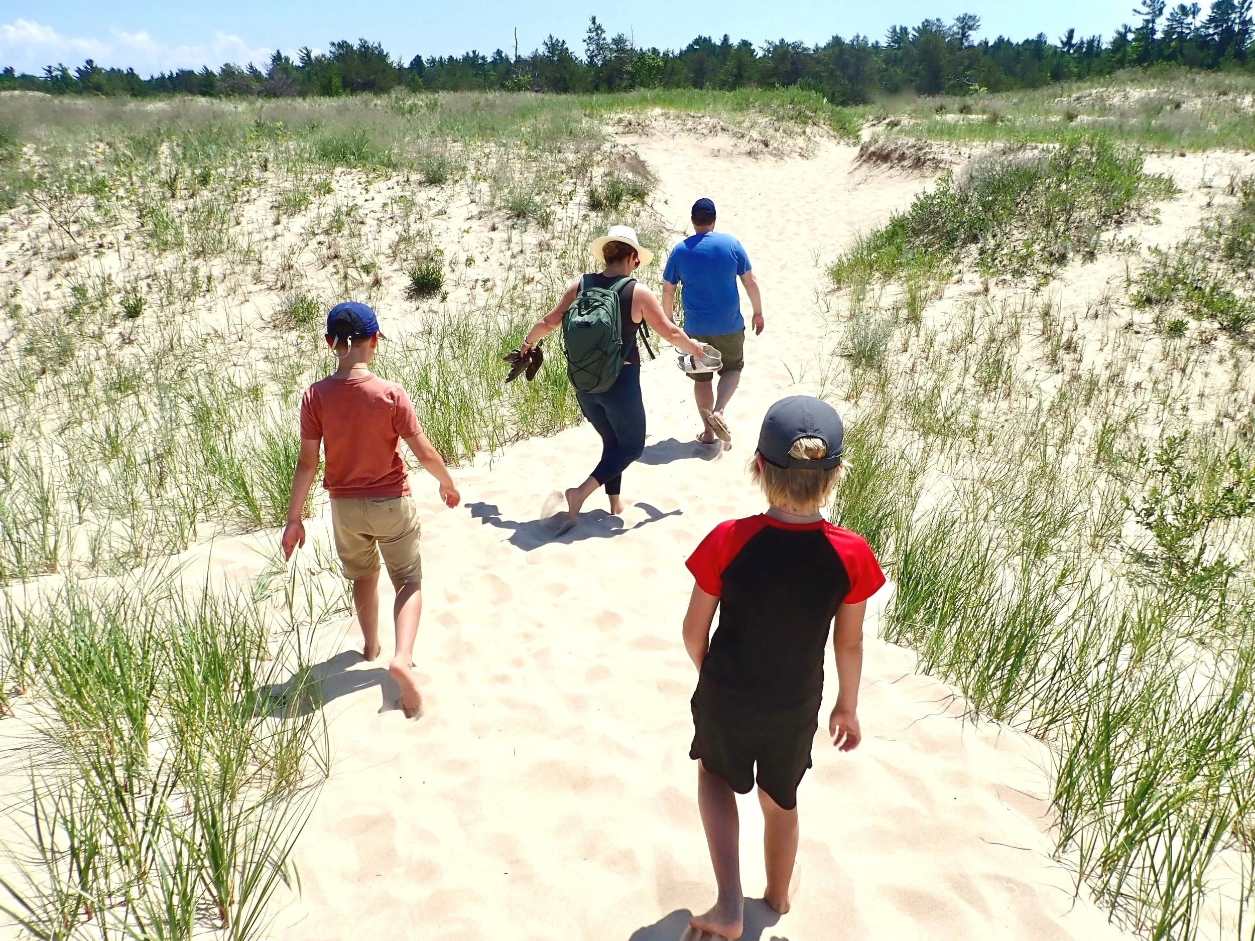 Family walking on sandy beach with grassy dunes and trees in background during sunny day.