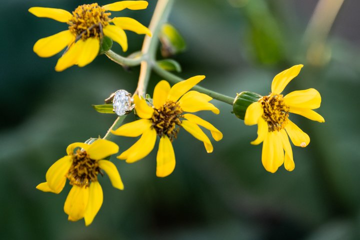 Lafayette Square Proposal-08.jpg