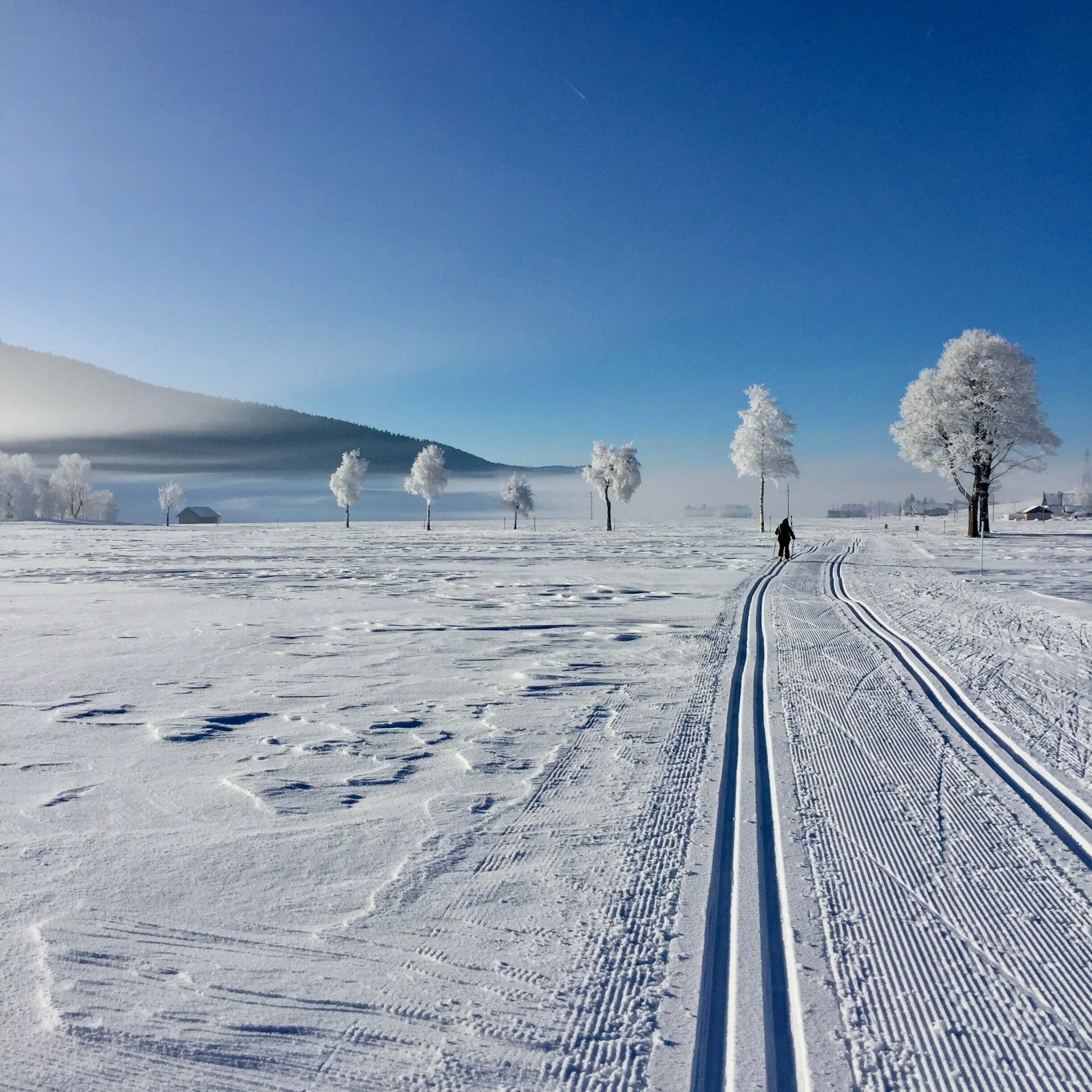 HIVER 1.jpg
