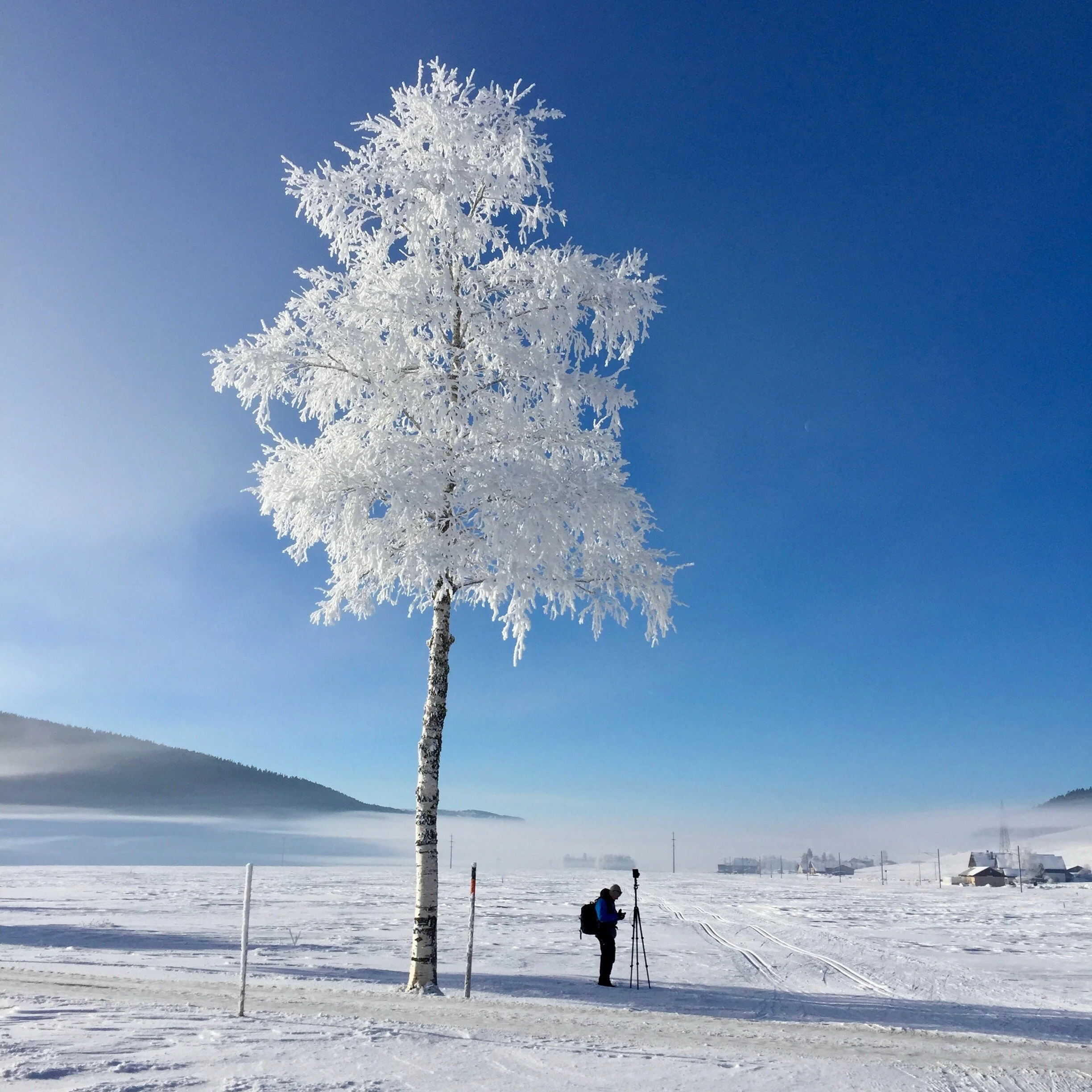 HIVER 2.jpg