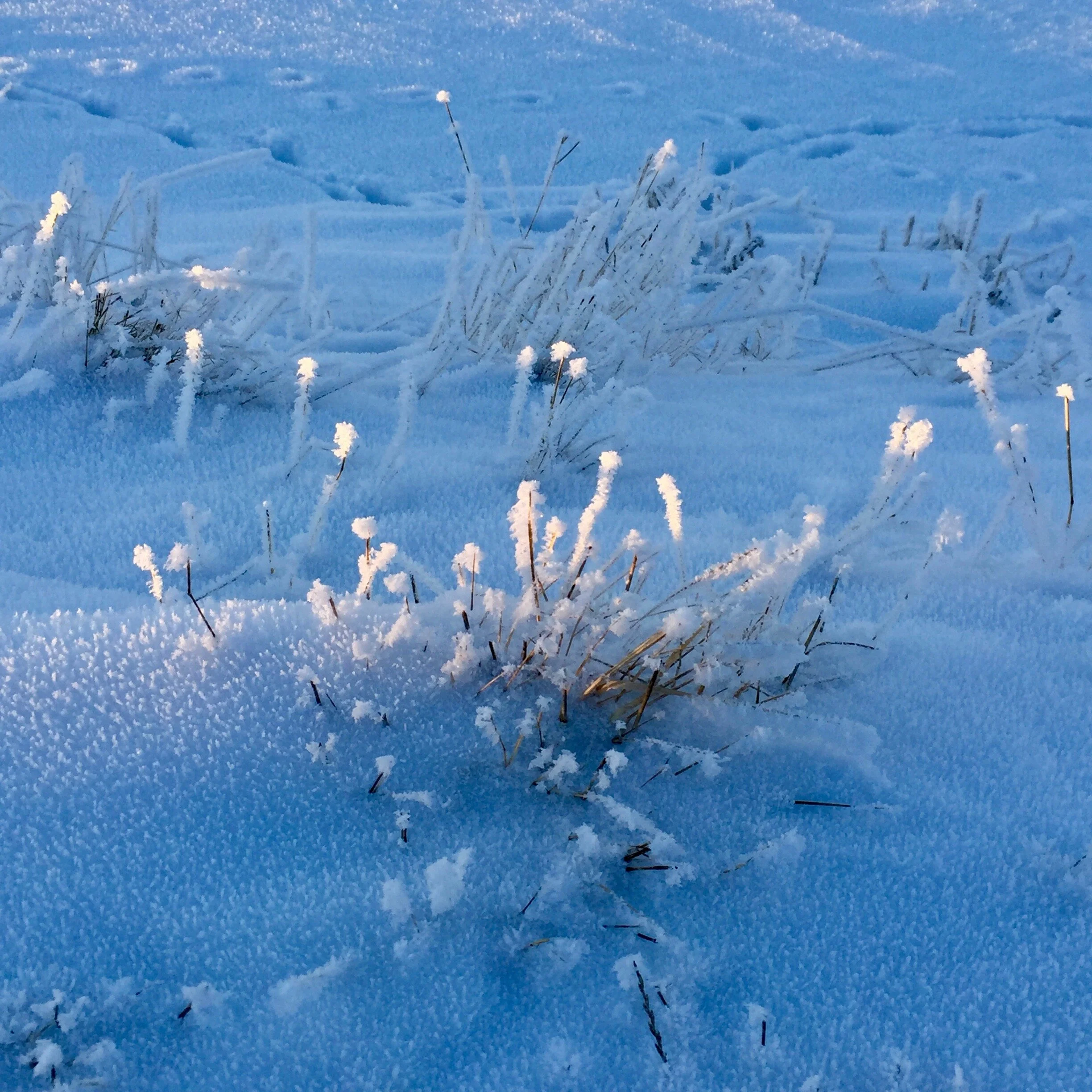 HIVER 5.jpg