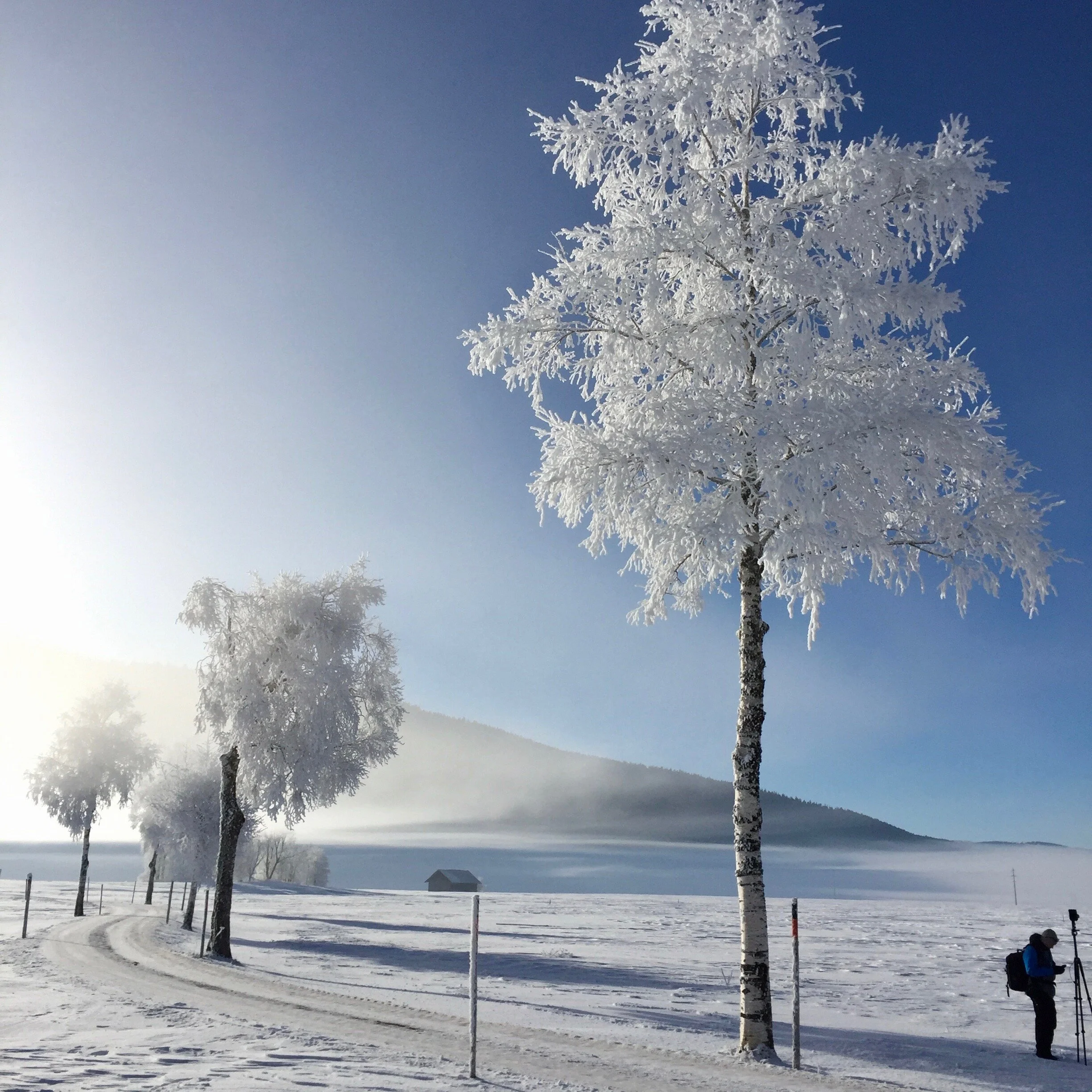 HIVER 6.jpg