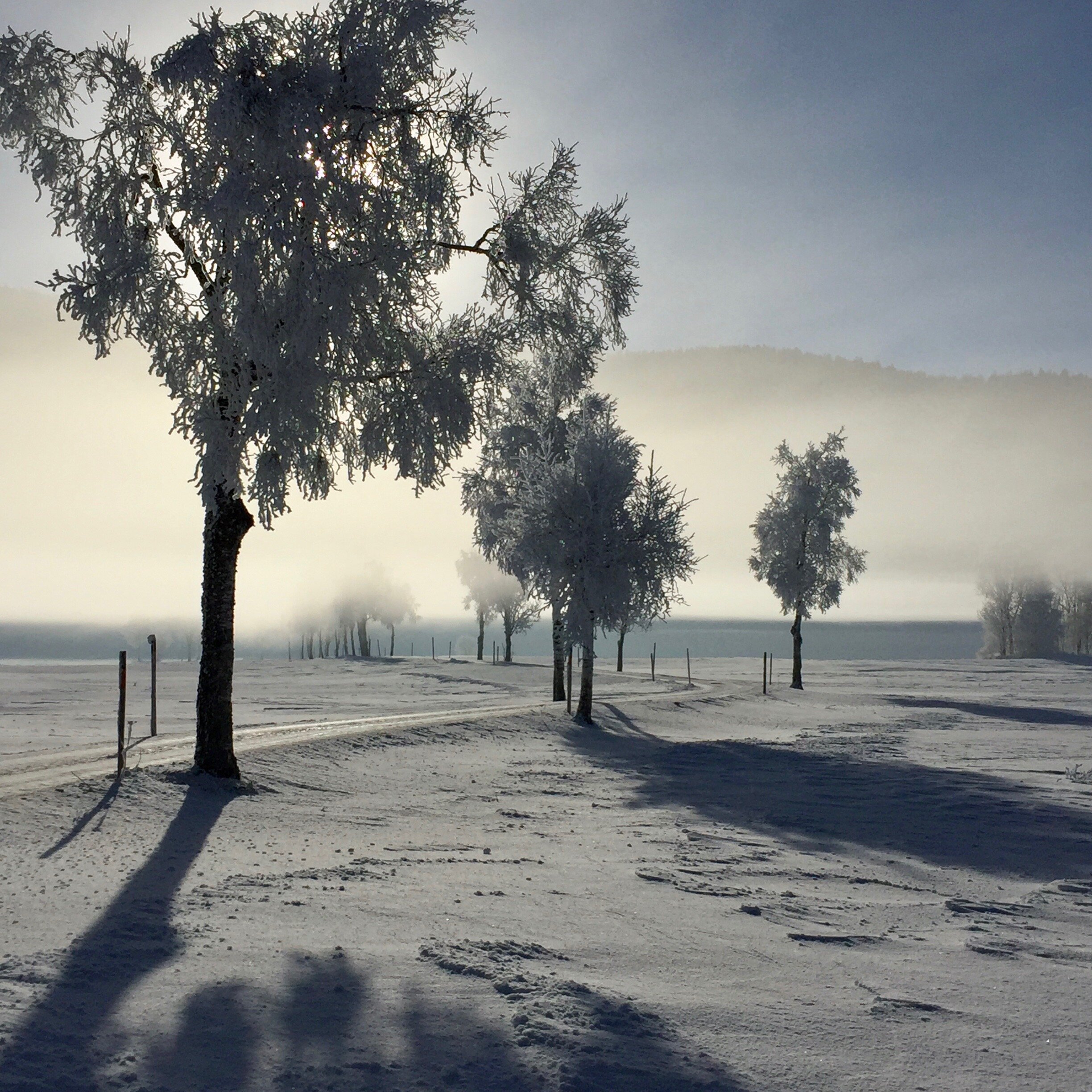 HIVER 8.jpg