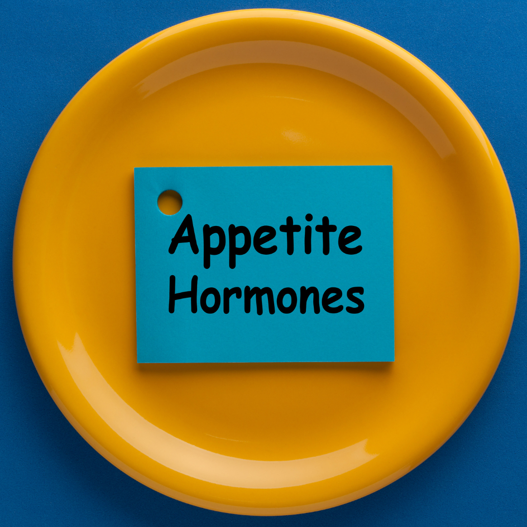Why Am I Always Hungry? Understanding Hunger Hormones to Manage Food Noise