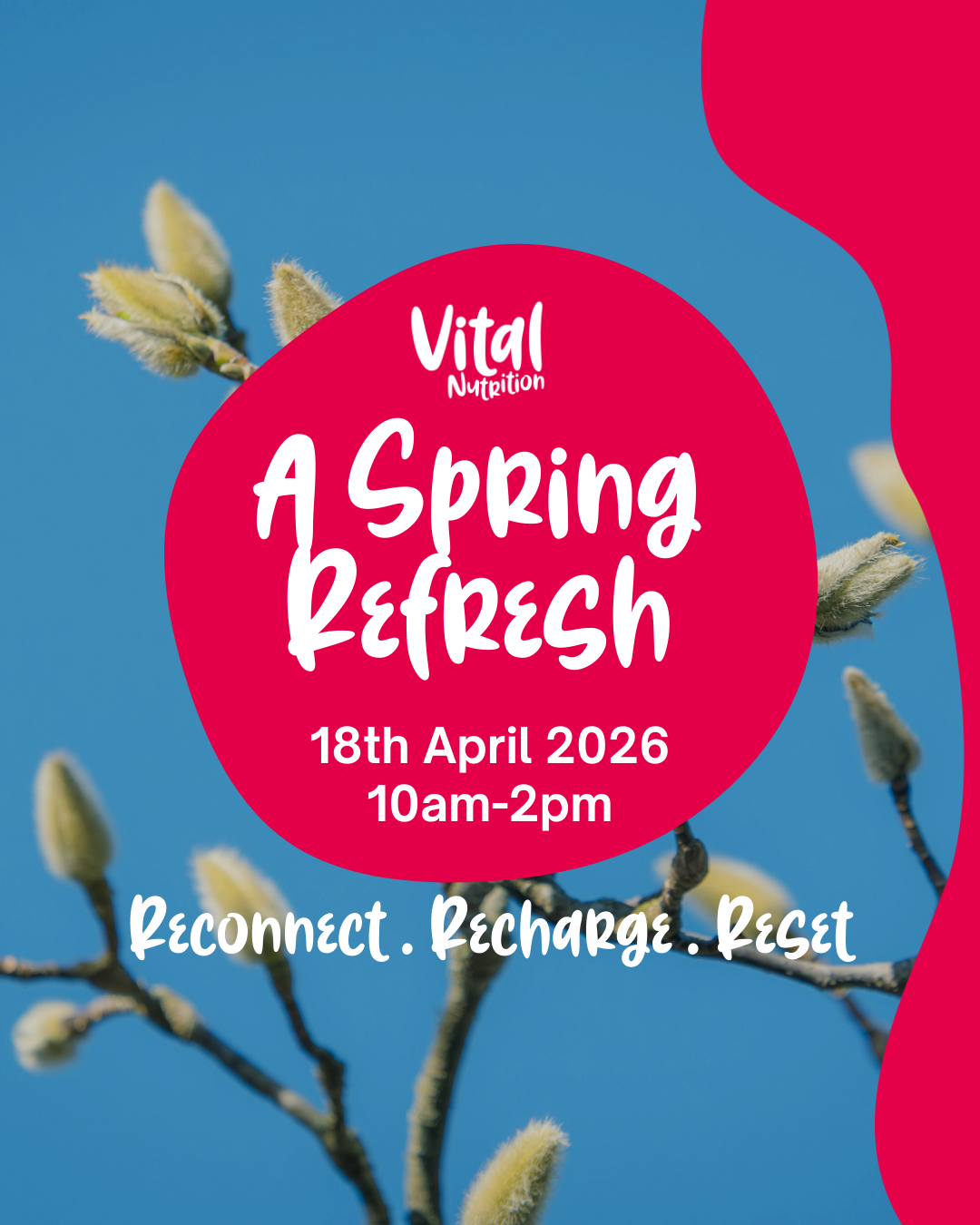 🌿Spring Refresh 2026