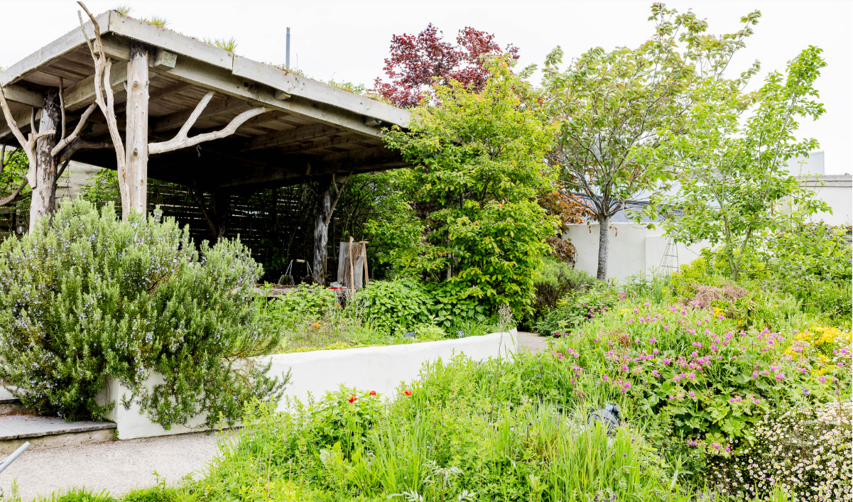 Screenshot 2026-03-05 112349.png