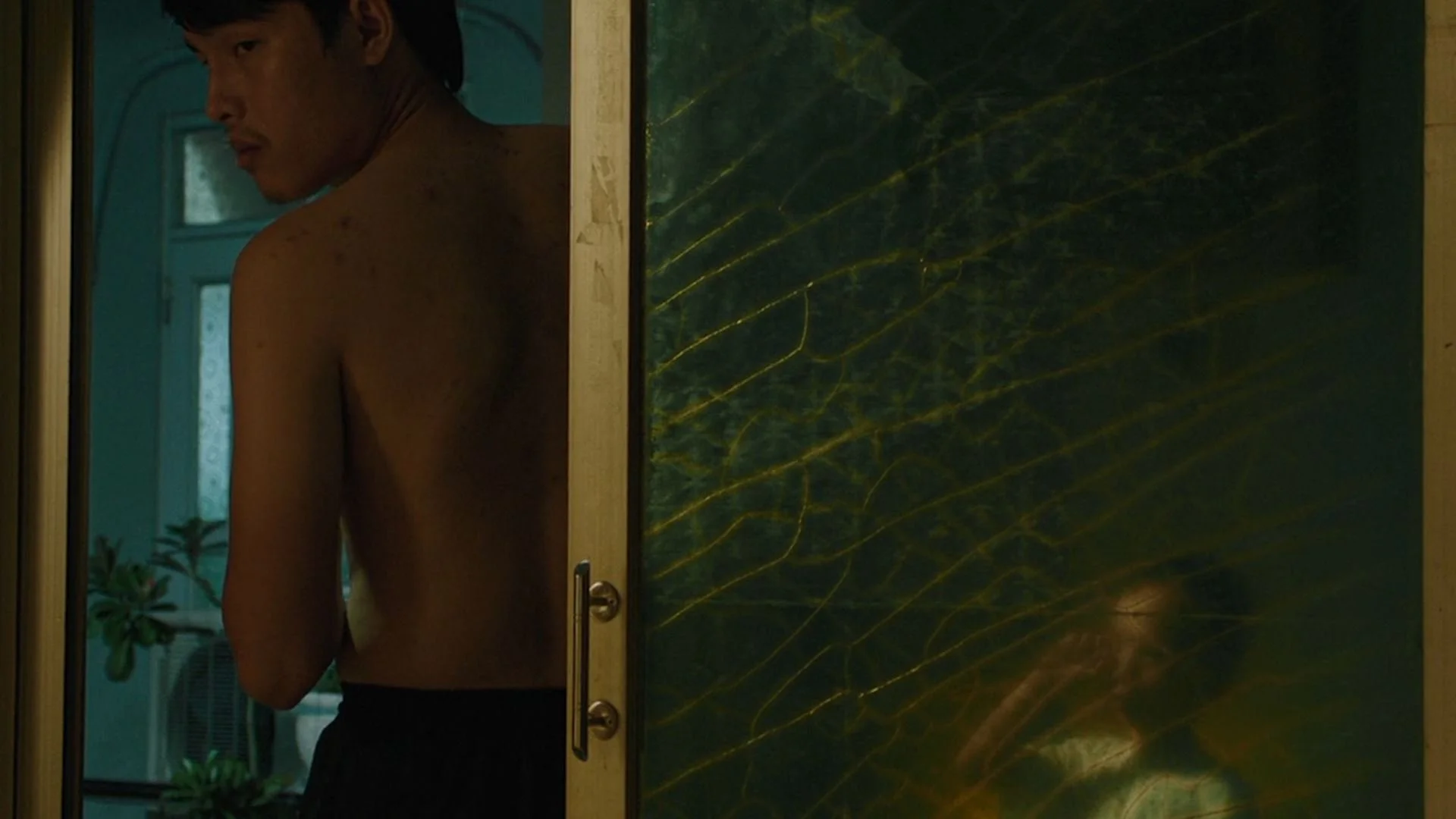 Inside the Yellow Cocoon Shell