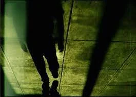 Roundtable: Wild Sounds and Women's Voices (Discourse)