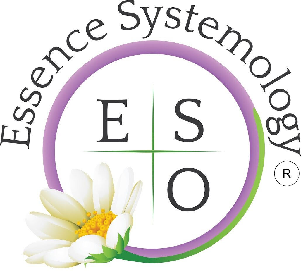 Essence Systemology
