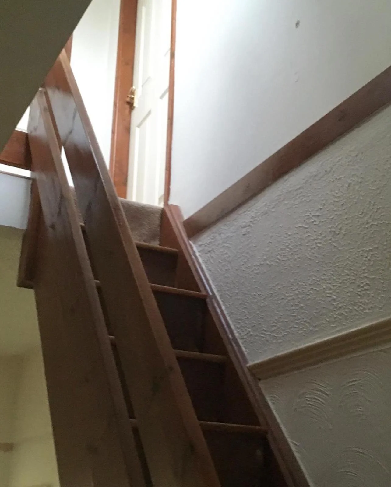 WhatsApp Image 2020-04-23 at 18.36.47.jpeg