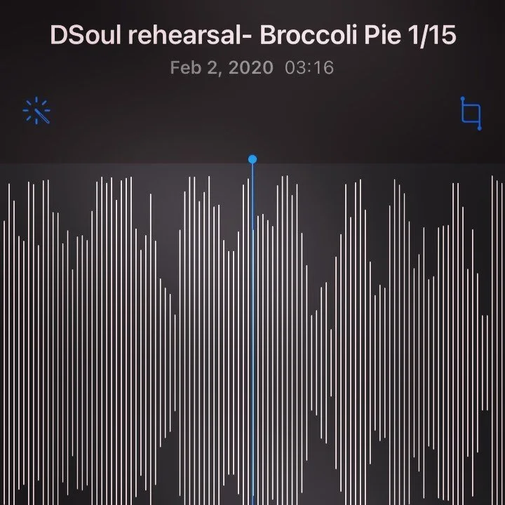 please adjust your sound to the ON position 
@dharmasoulband w/ @jonah.tolchin + Jeff Levine on organ 
can&rsquo;t believe this rehearsal was over a year ago. Can&rsquo;t wait to play for you again! 
#soundon #organtrio #funkmusic #guitar #funkorgan 