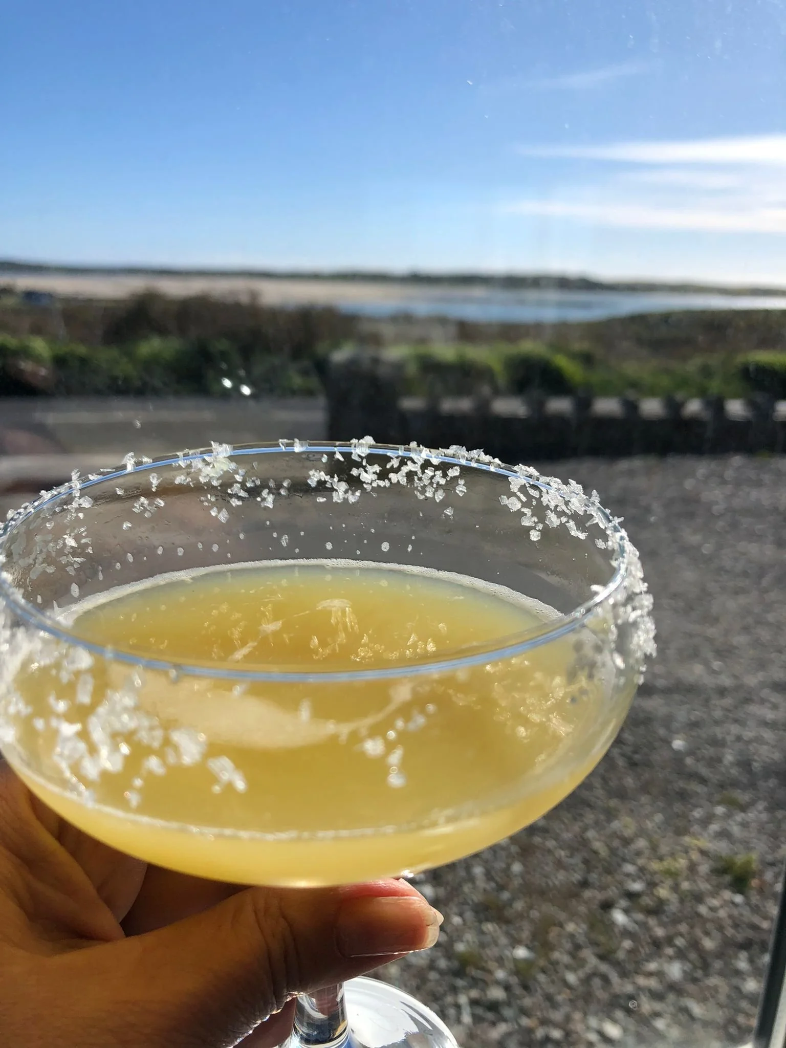 Pitcher Margaritas