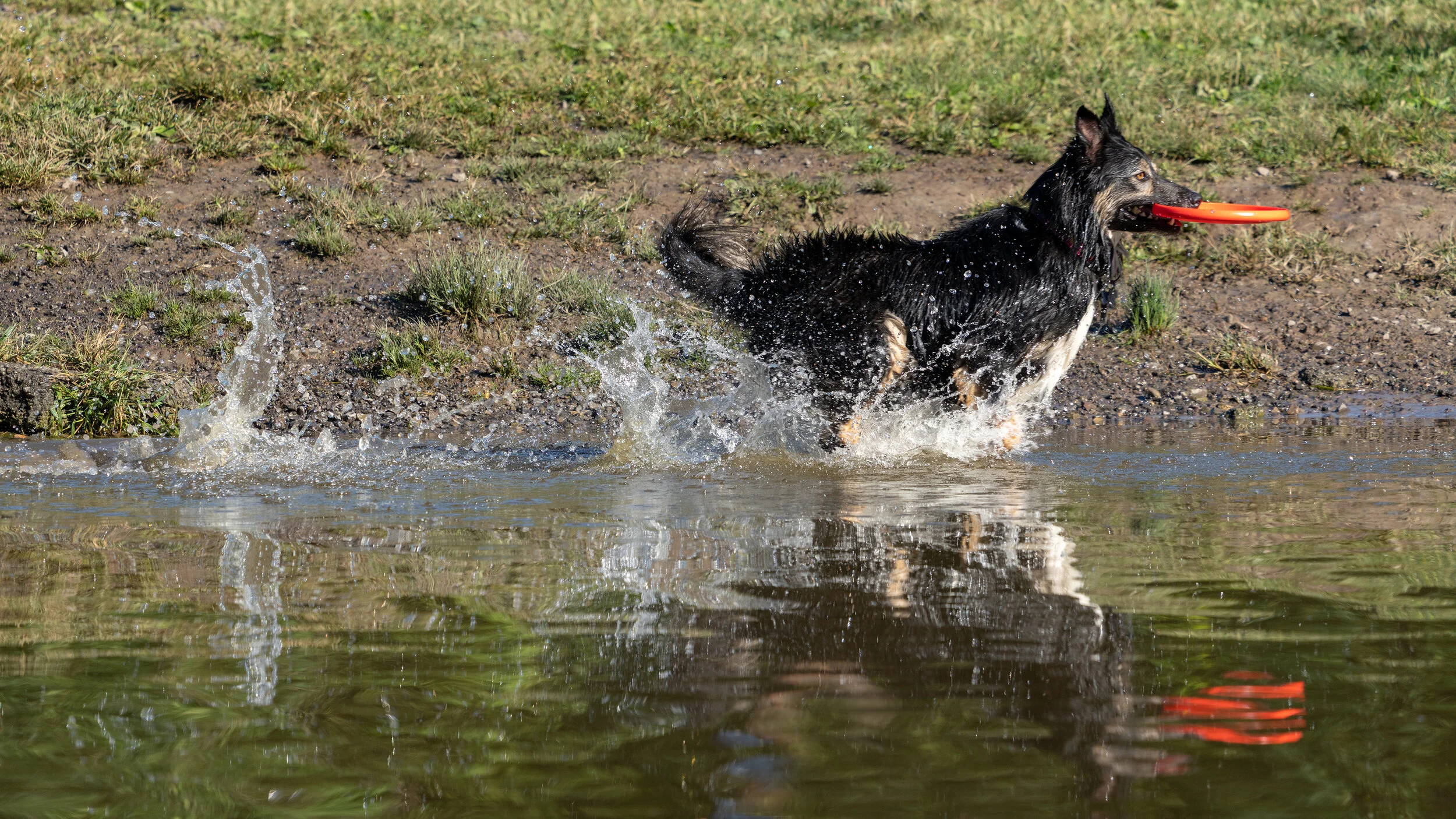 _DSC3880-r1.jpg