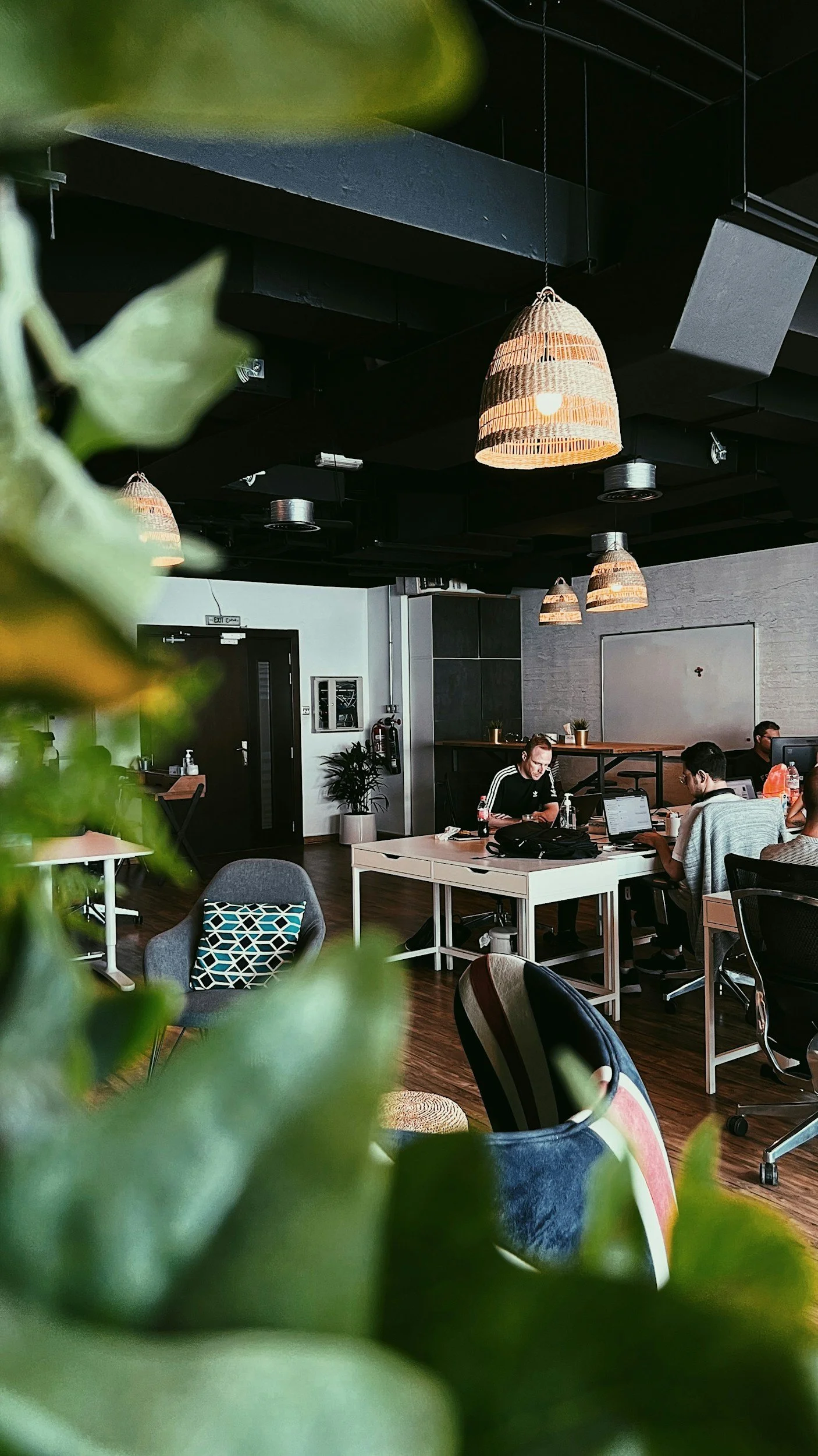Office space with people working at desks, hanging woven light fixtures on a dark ceiling, plants, and a whiteboard, viewed through some blurred green leaves.