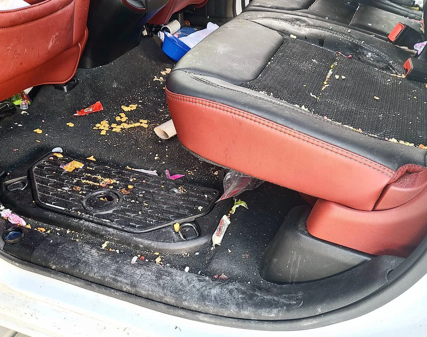 One of my favorite before and afters!! New Ram Rebel
#mobiledetail #utah #saltlake #utcounty #detail #fresh #clean #ramrebel #car #cleancar #transformation #beforeandafter #yes #businessowner